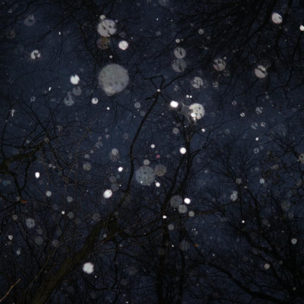 Релиз Cold spring