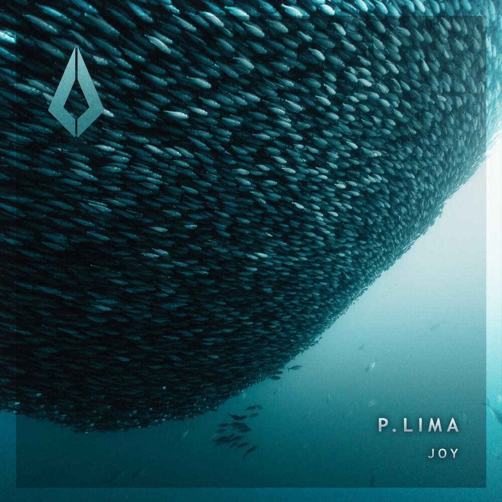 Релиз Joy