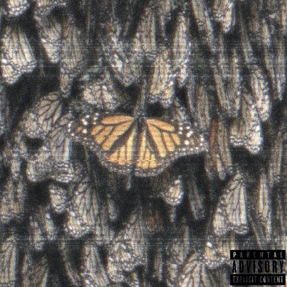 Релиз Monarch