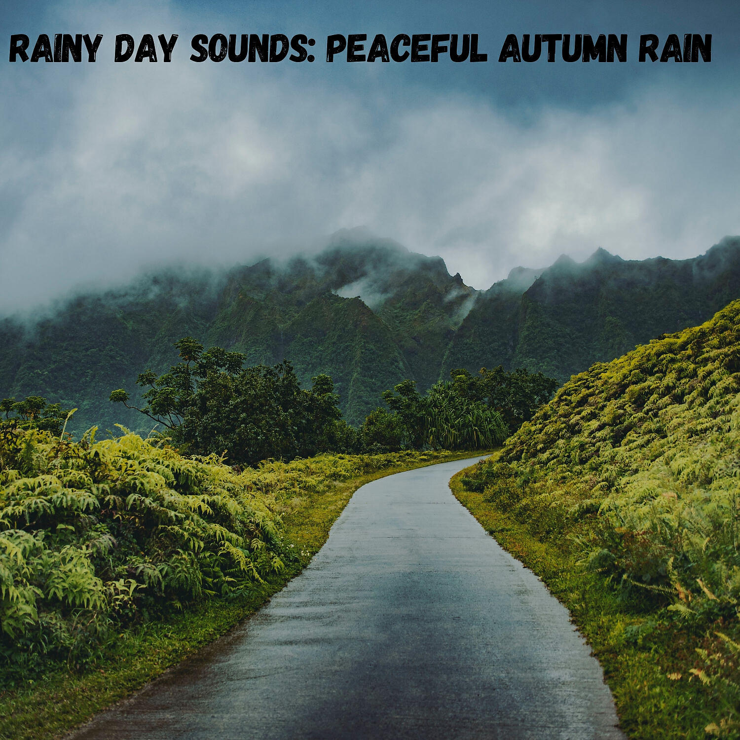 Релиз Rainy Day Sounds: Peaceful Autumn Rain