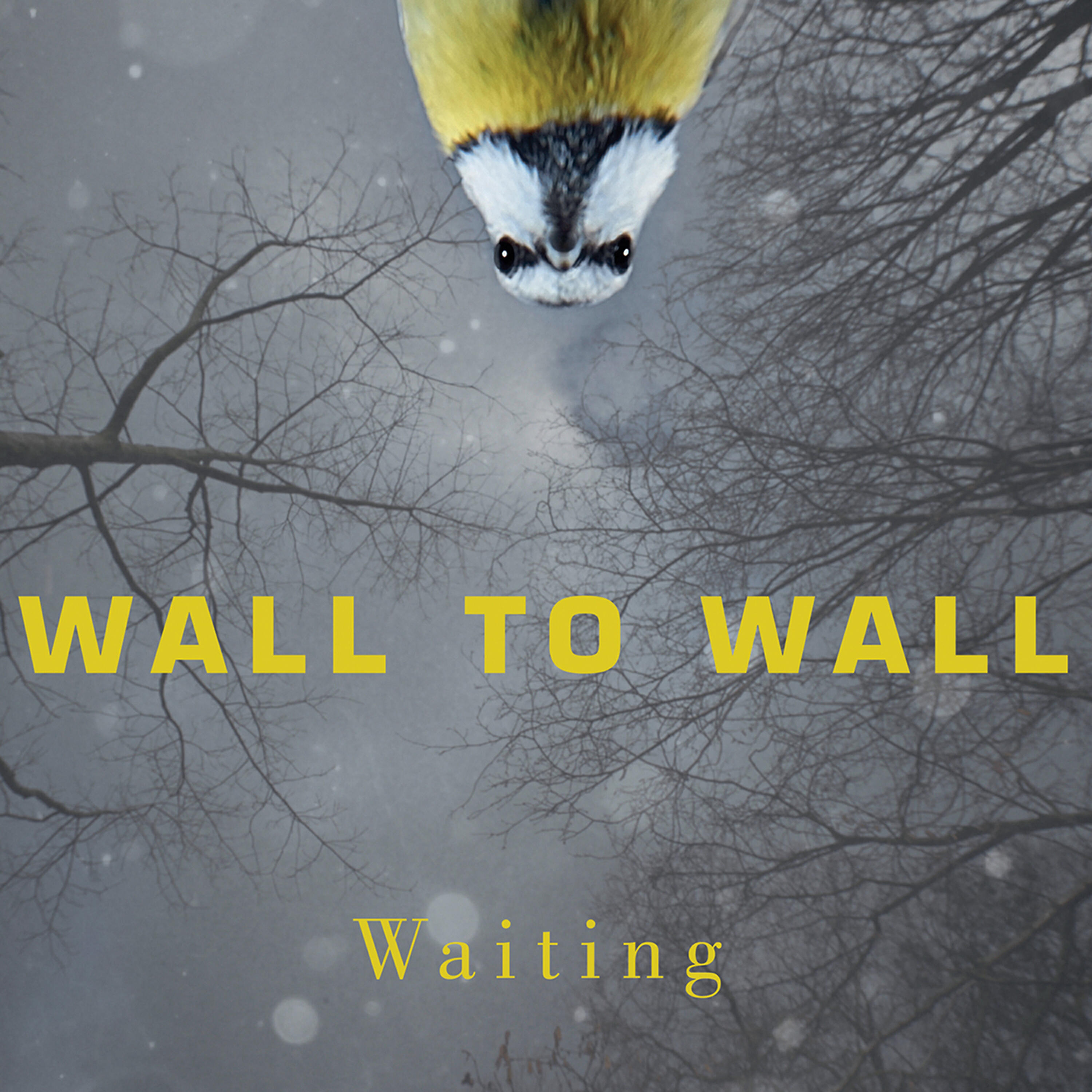 Релиз Waiting