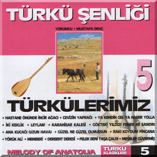 Постер альбома Türkü Şenliği, Vol. 5