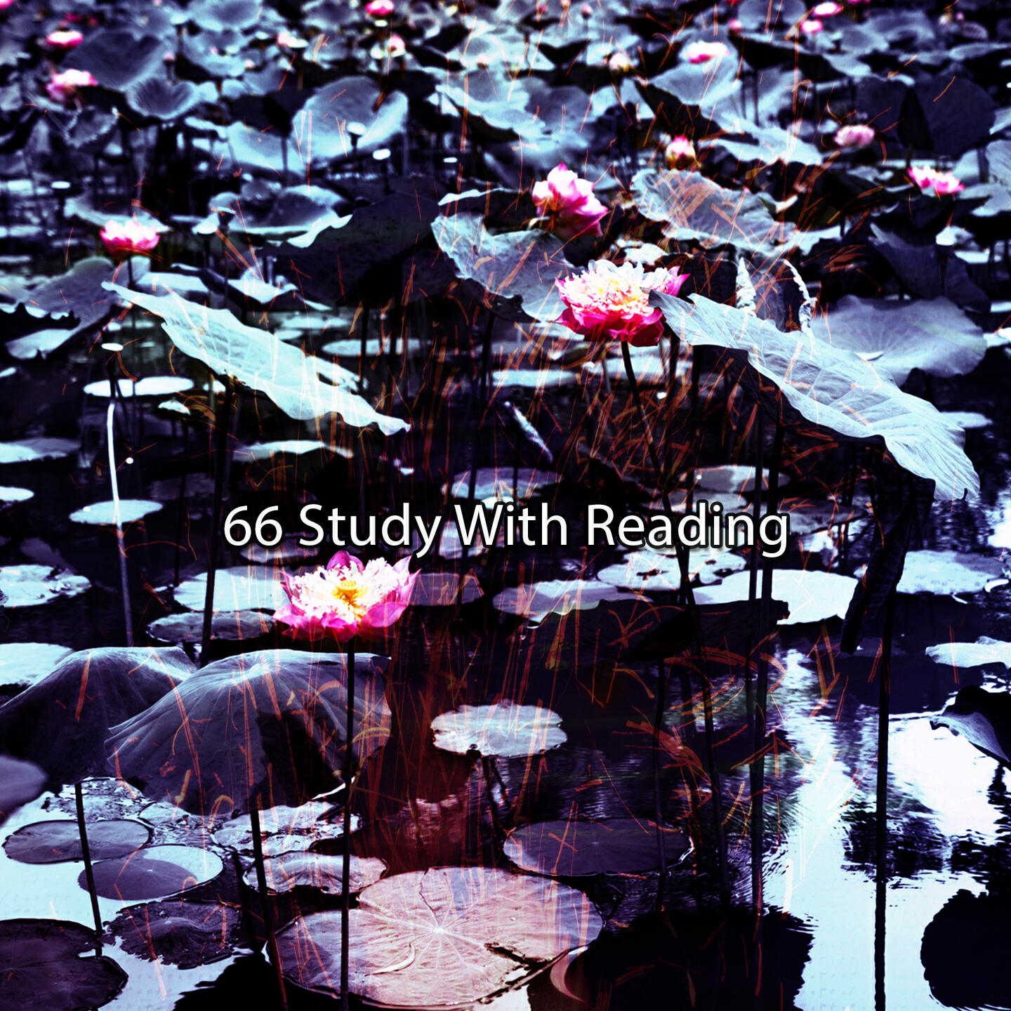 Релиз 66 Study With Reading