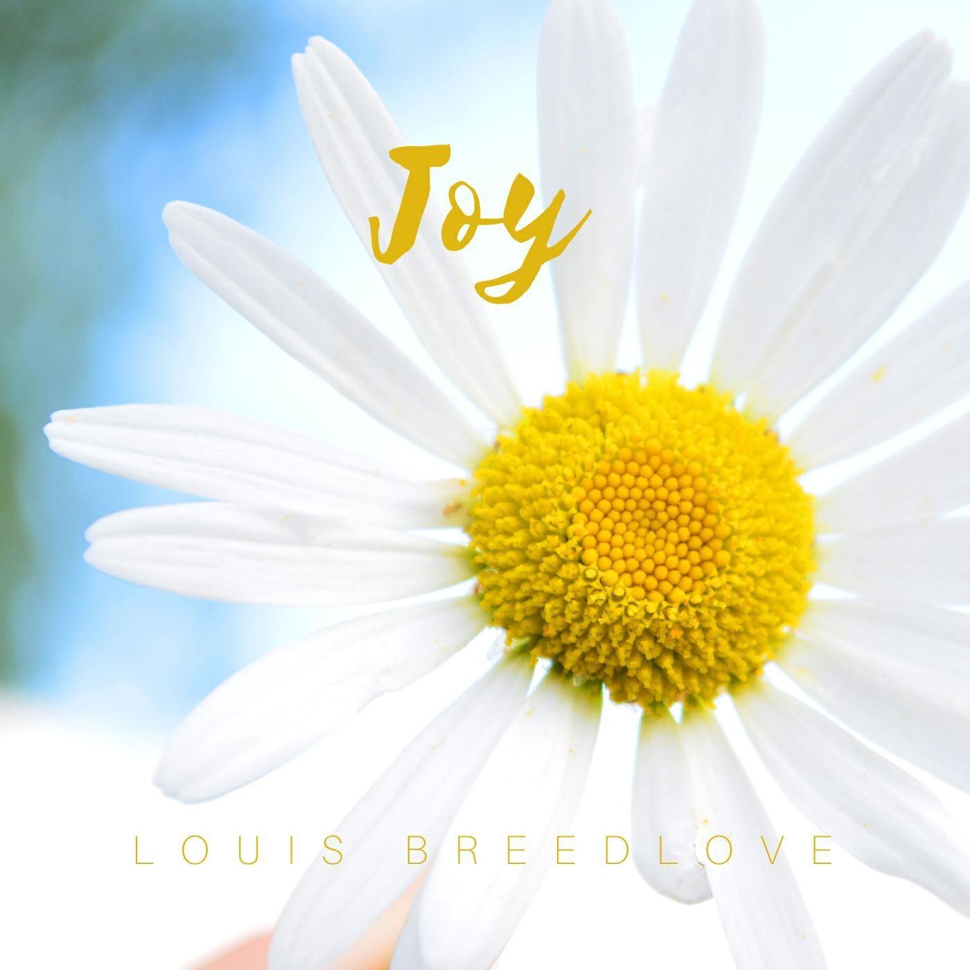 Релиз Joy