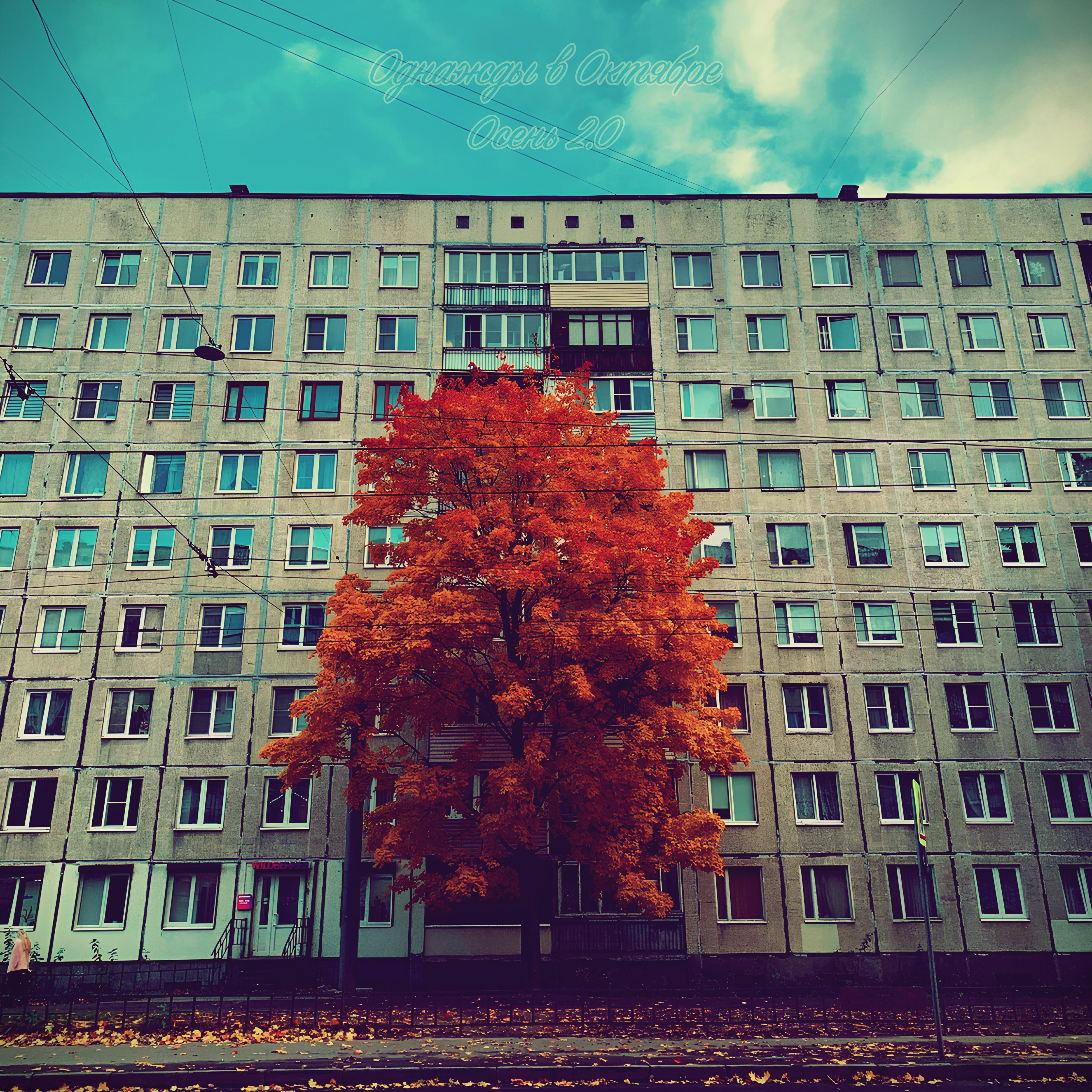 Релиз Осень 2.0