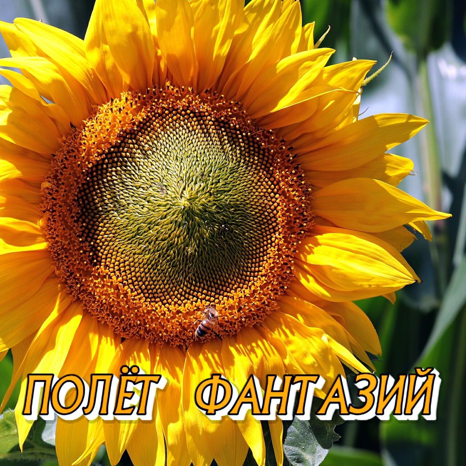 Релиз ПОЛЁТ ФАНТАЗИЙ