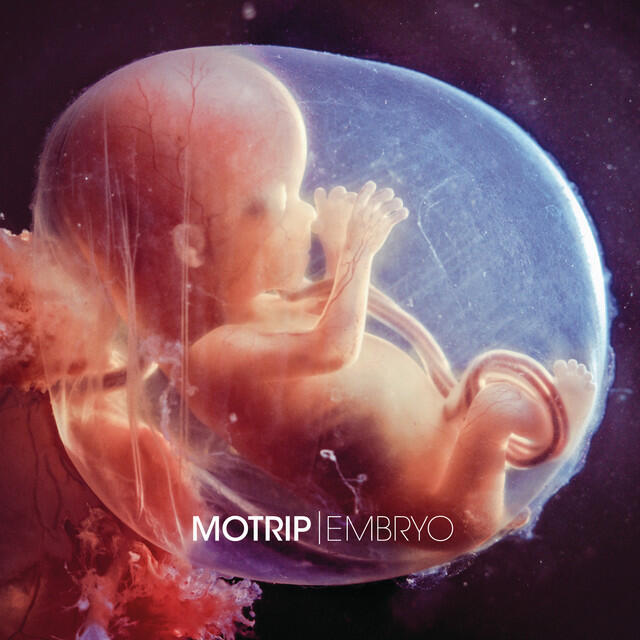 Релиз Embryo