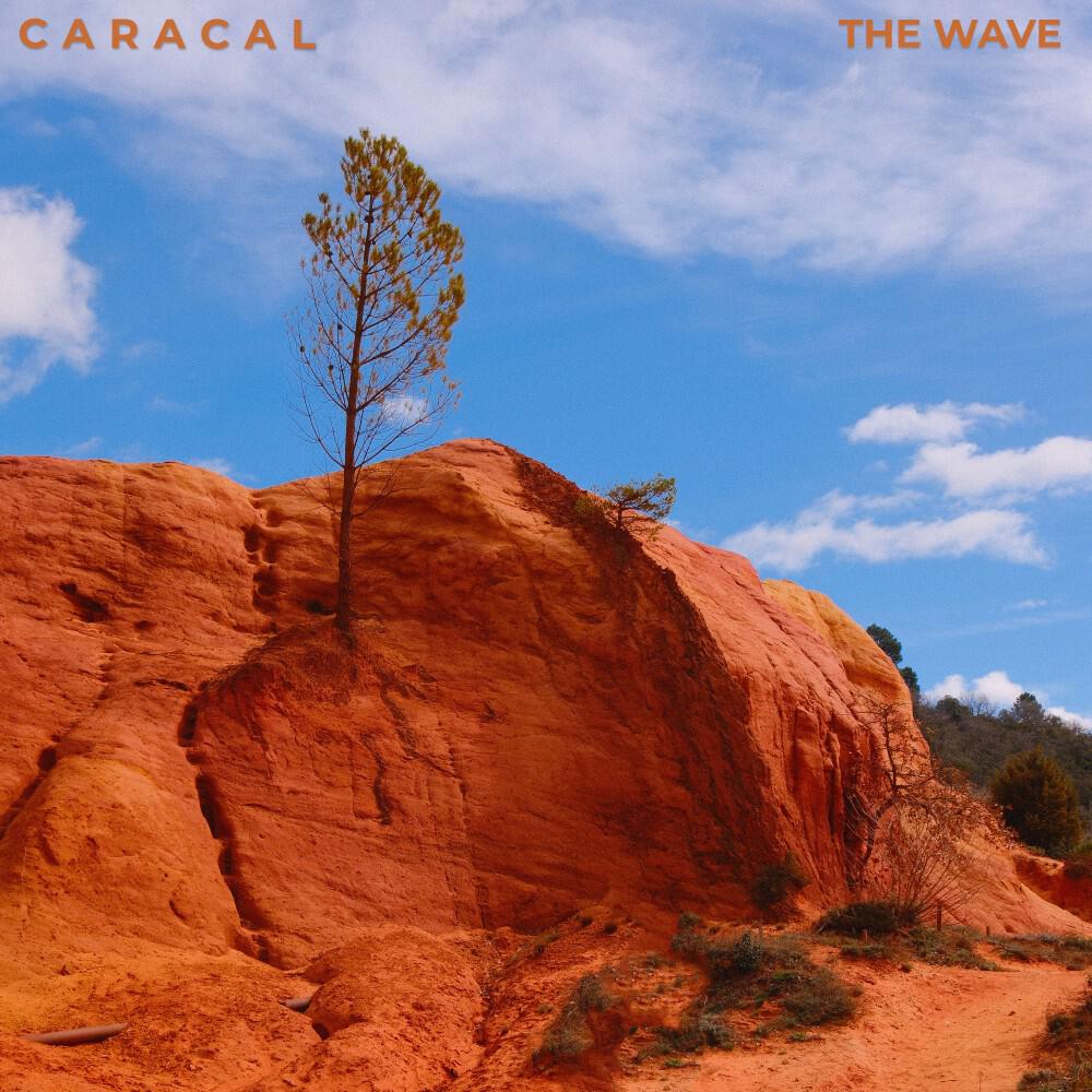 Релиз The Wave