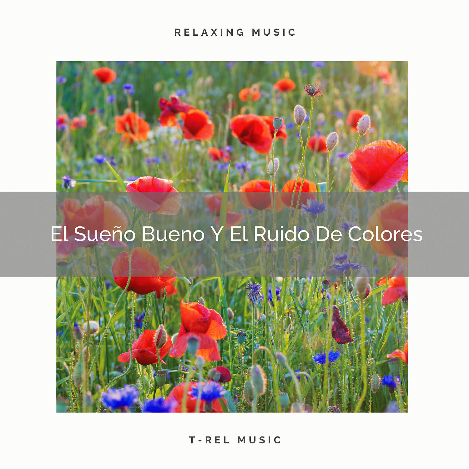 Релиз El Sueño Bueno Y El Ruido De Colores