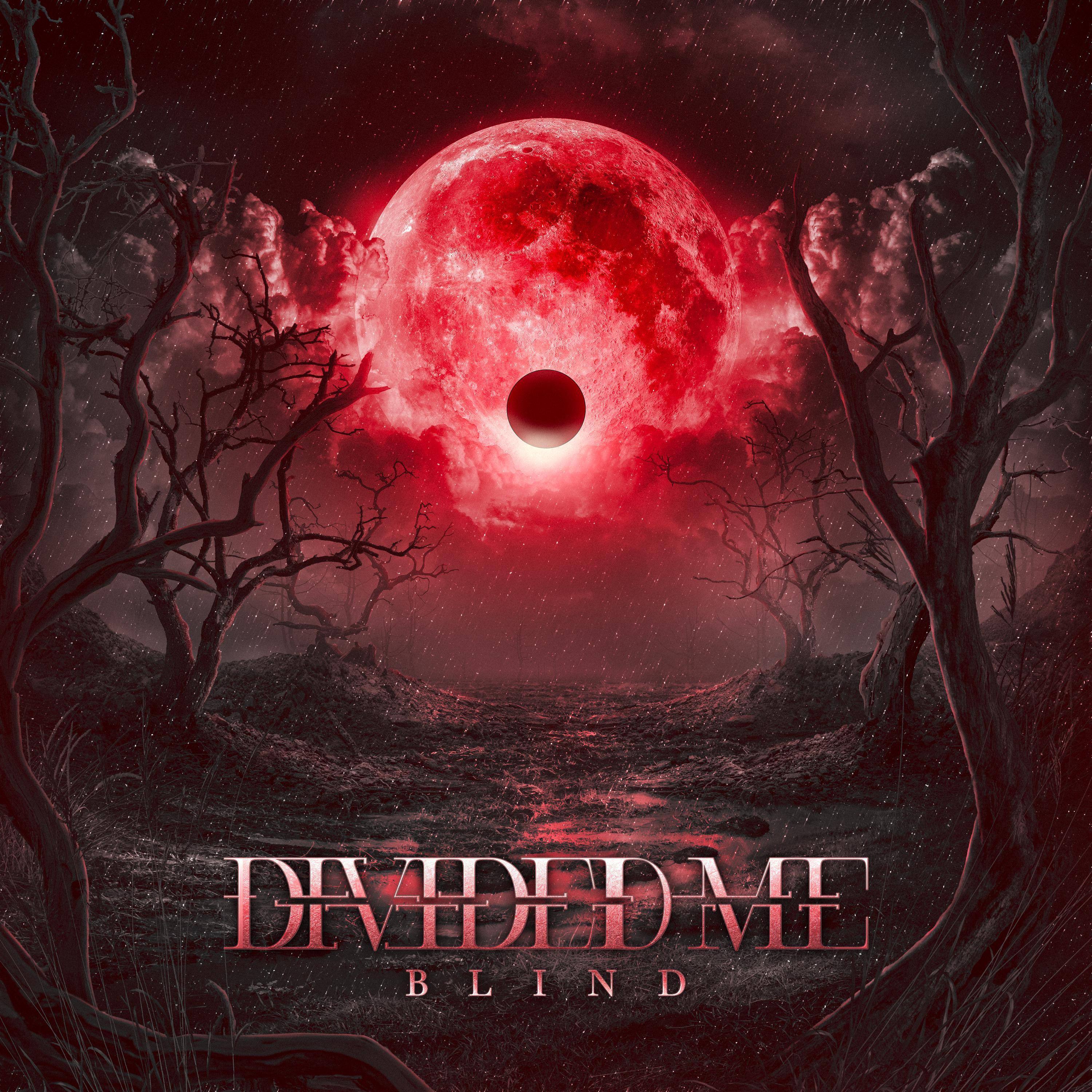 Divided Me