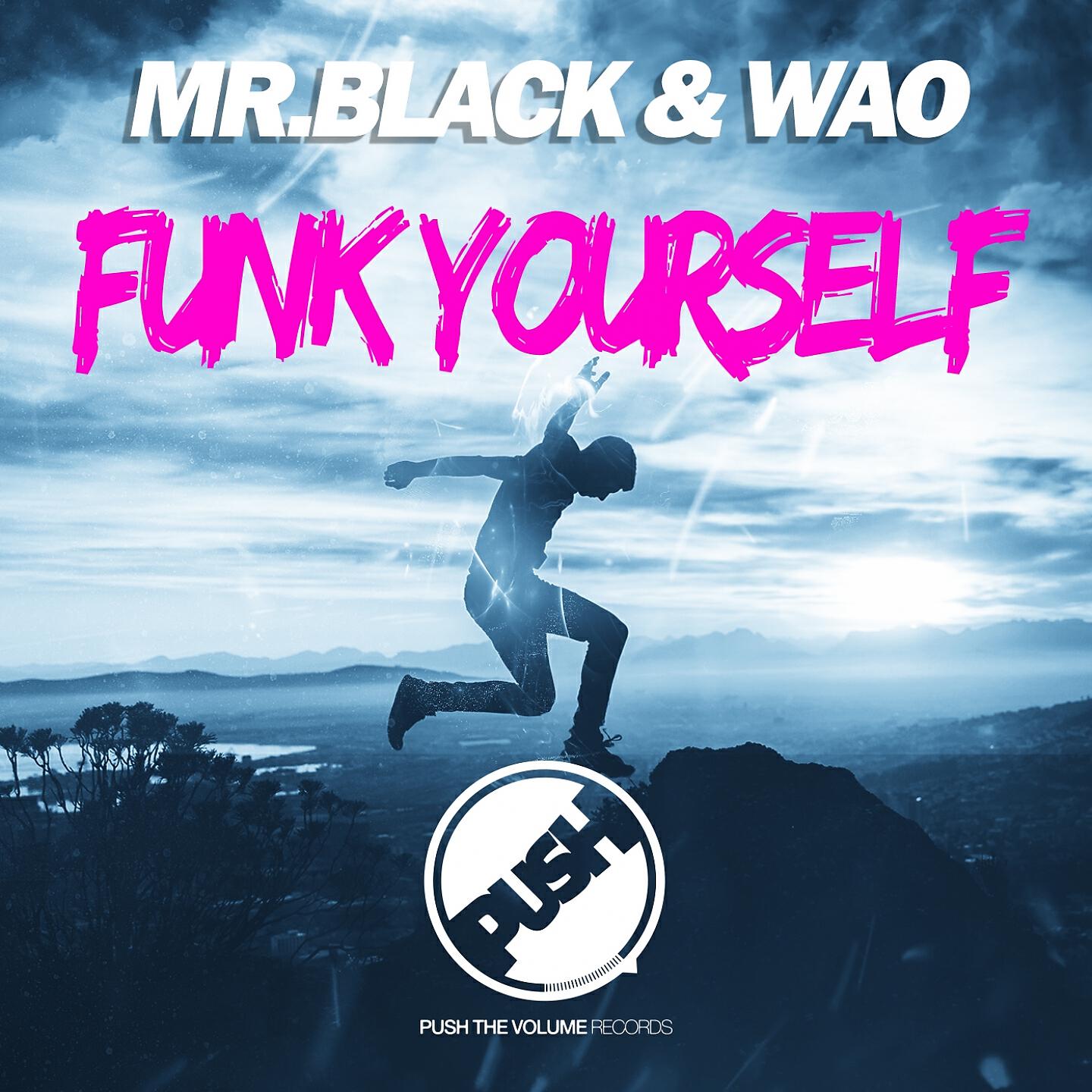 Релиз Funk Yourself