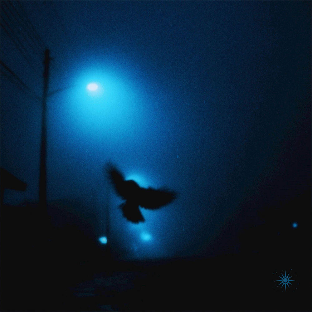 Релиз no more