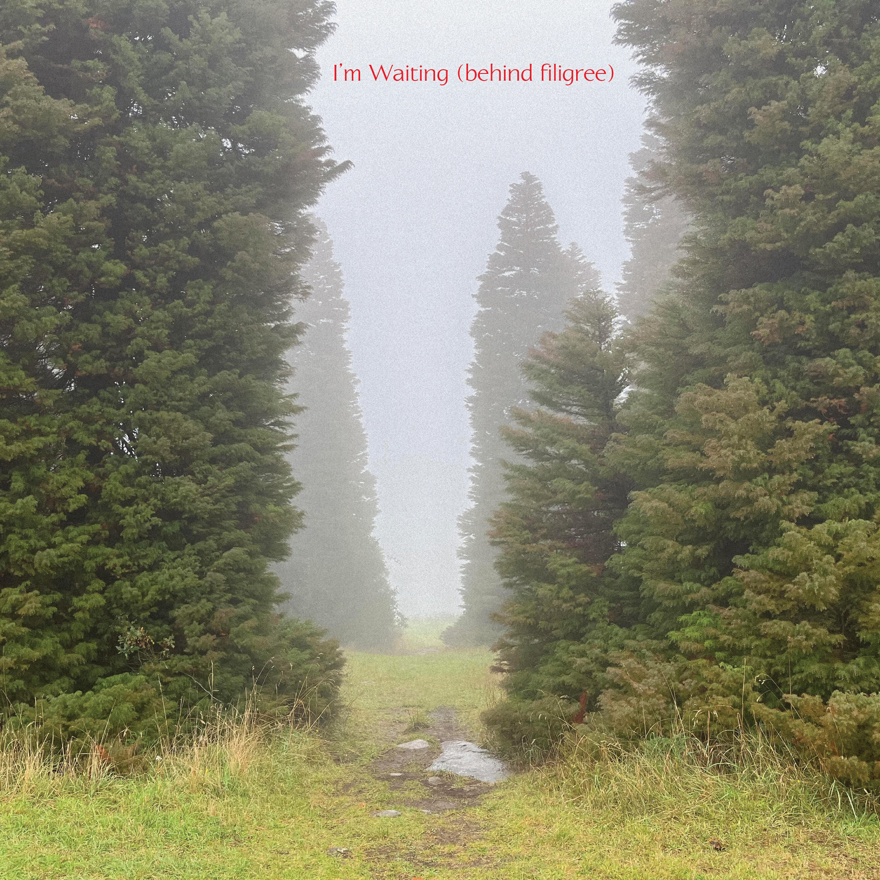 Релиз I'm Waiting (behind filigree)