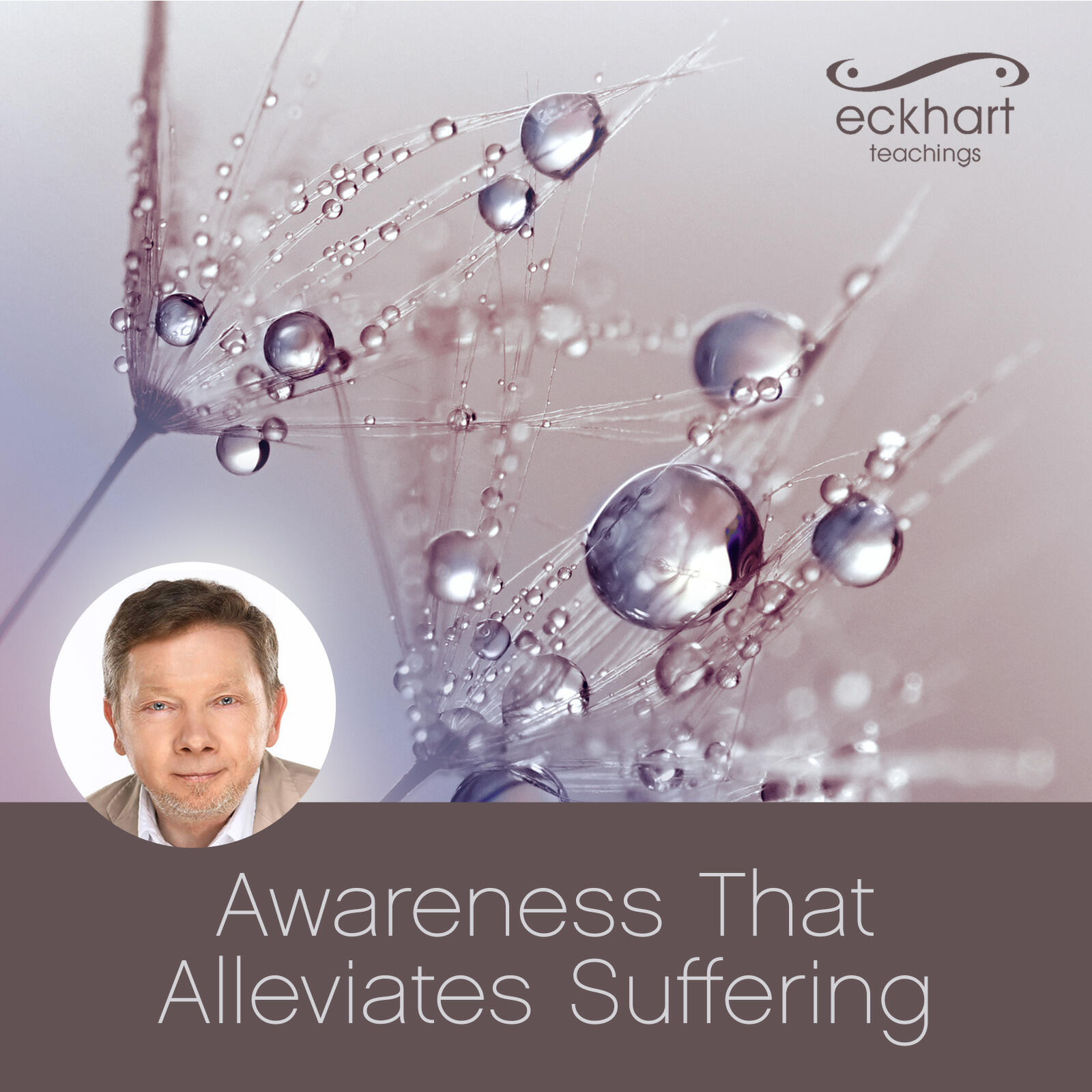 Релиз Awareness That Alleviates Suffering