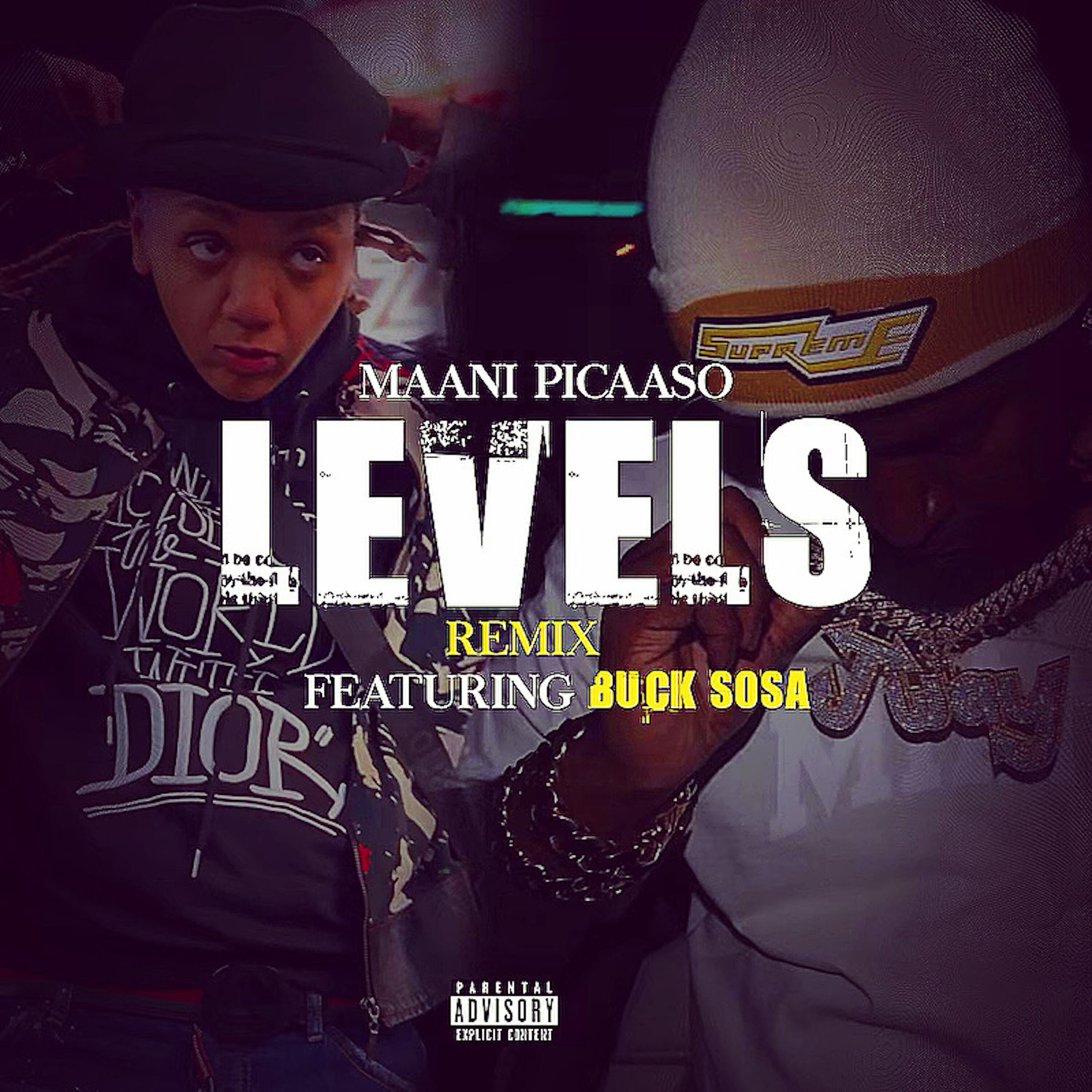 Релиз LEVELS