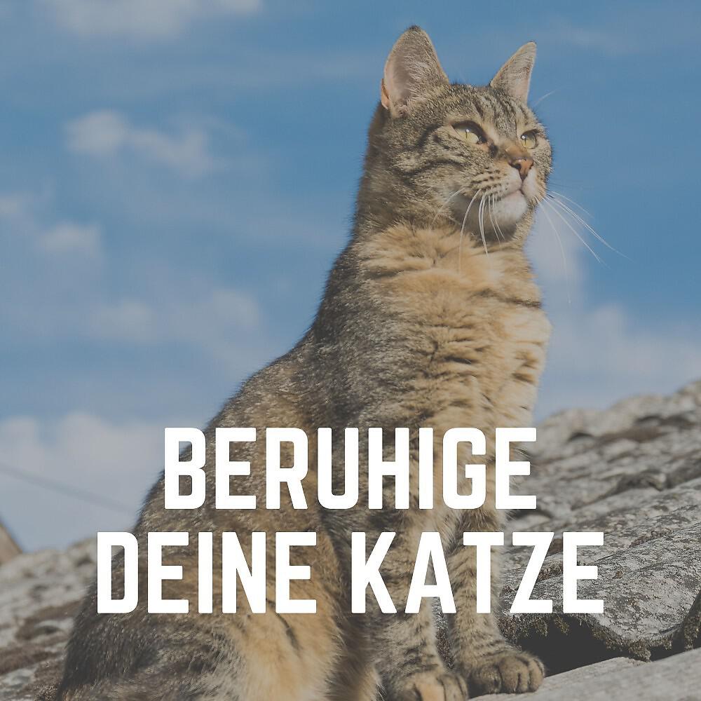 Релиз Beruhige Deine Katze