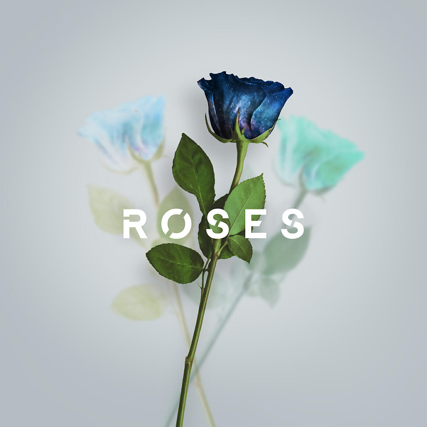 Релиз Roses