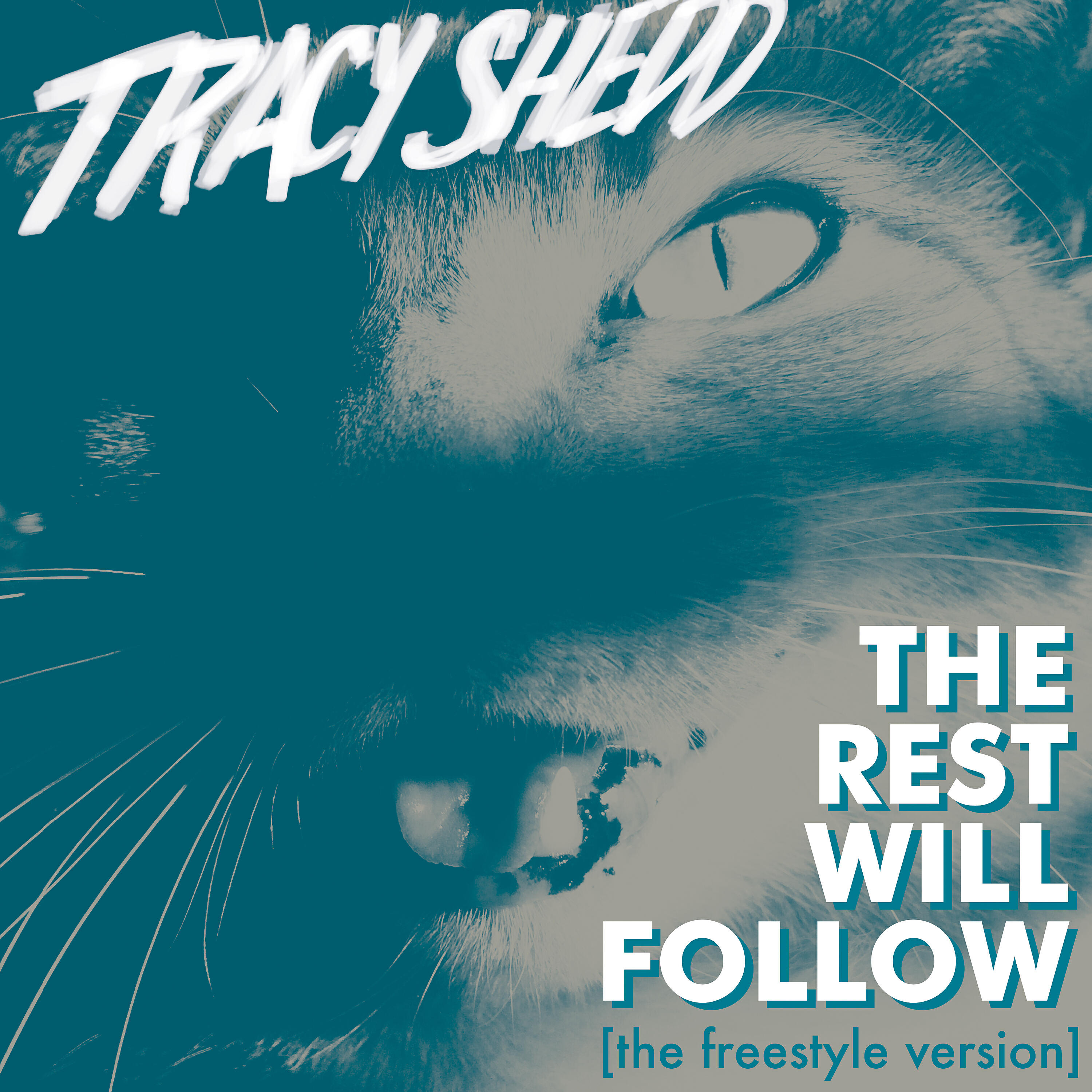 Релиз The Rest Will Follow (The Freestyle Version)