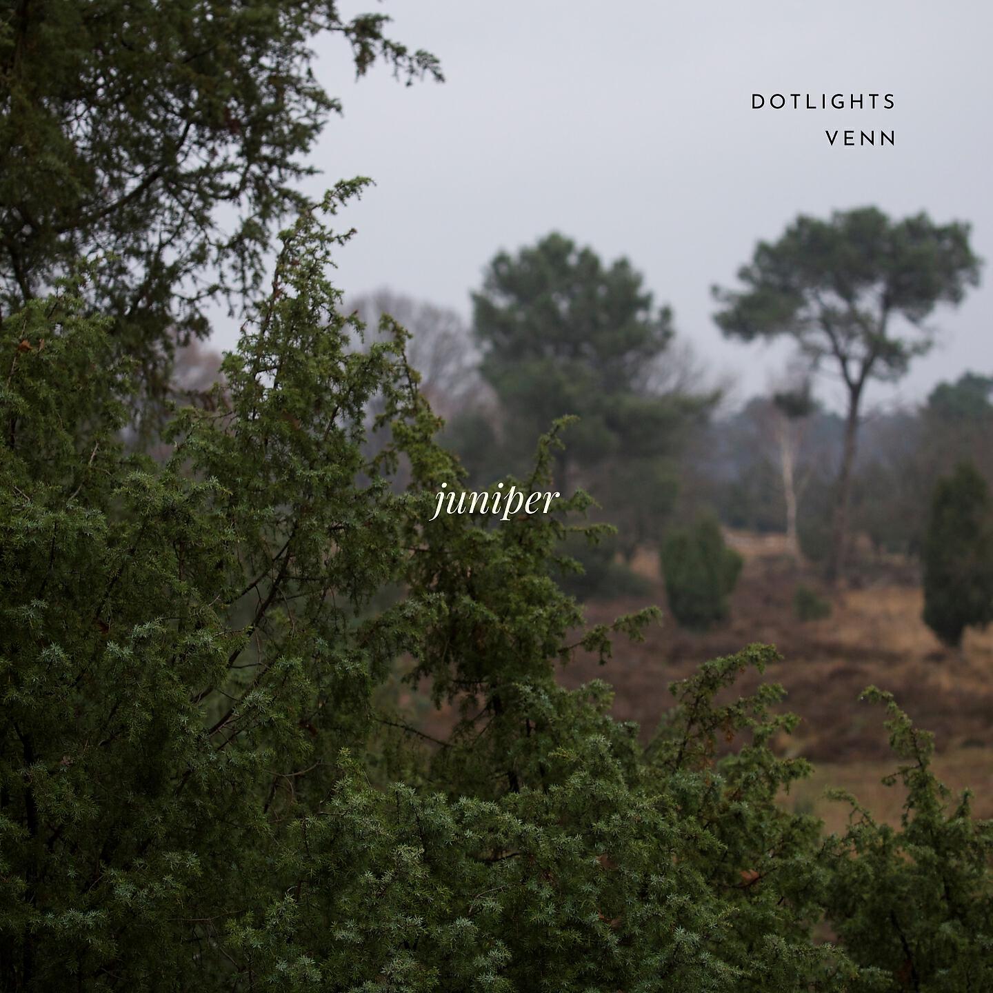 Релиз Juniper