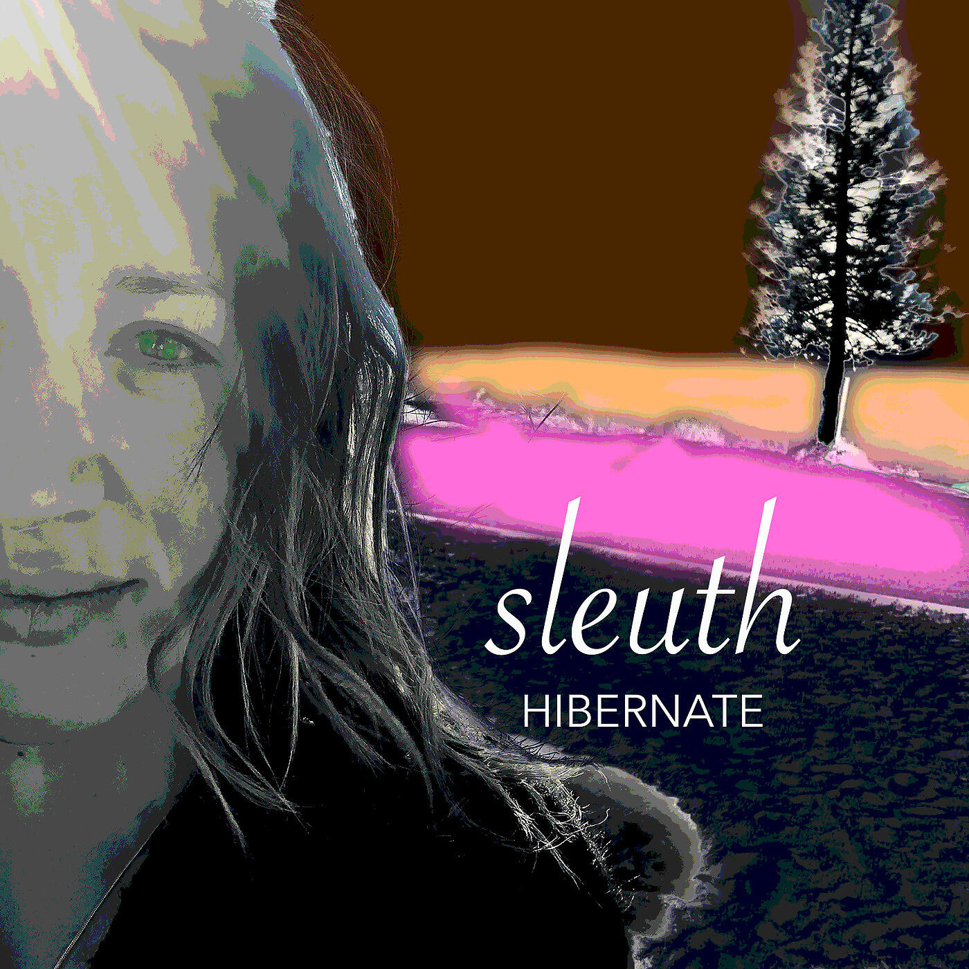 Релиз Hibernate