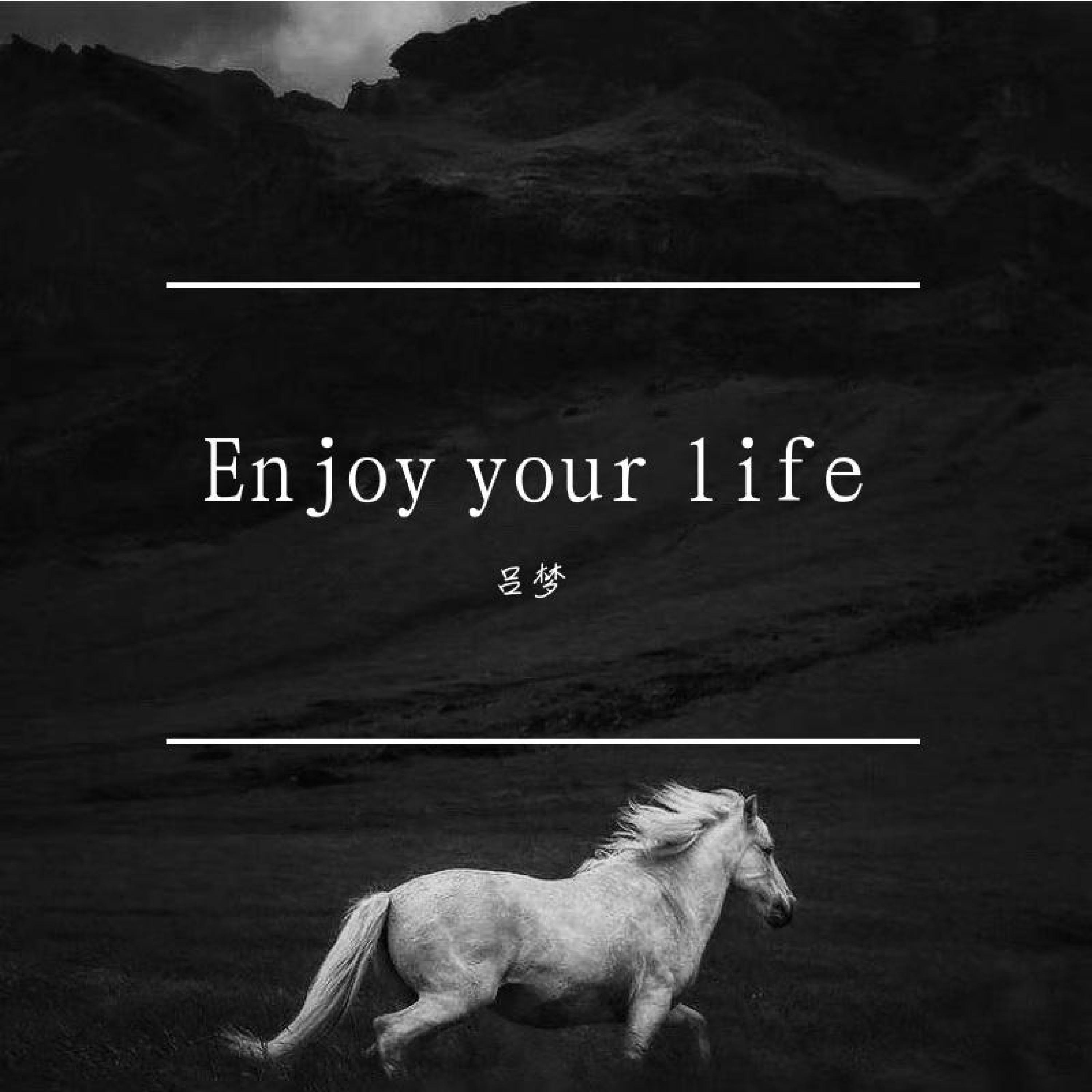 Релиз Enjoy Your Life