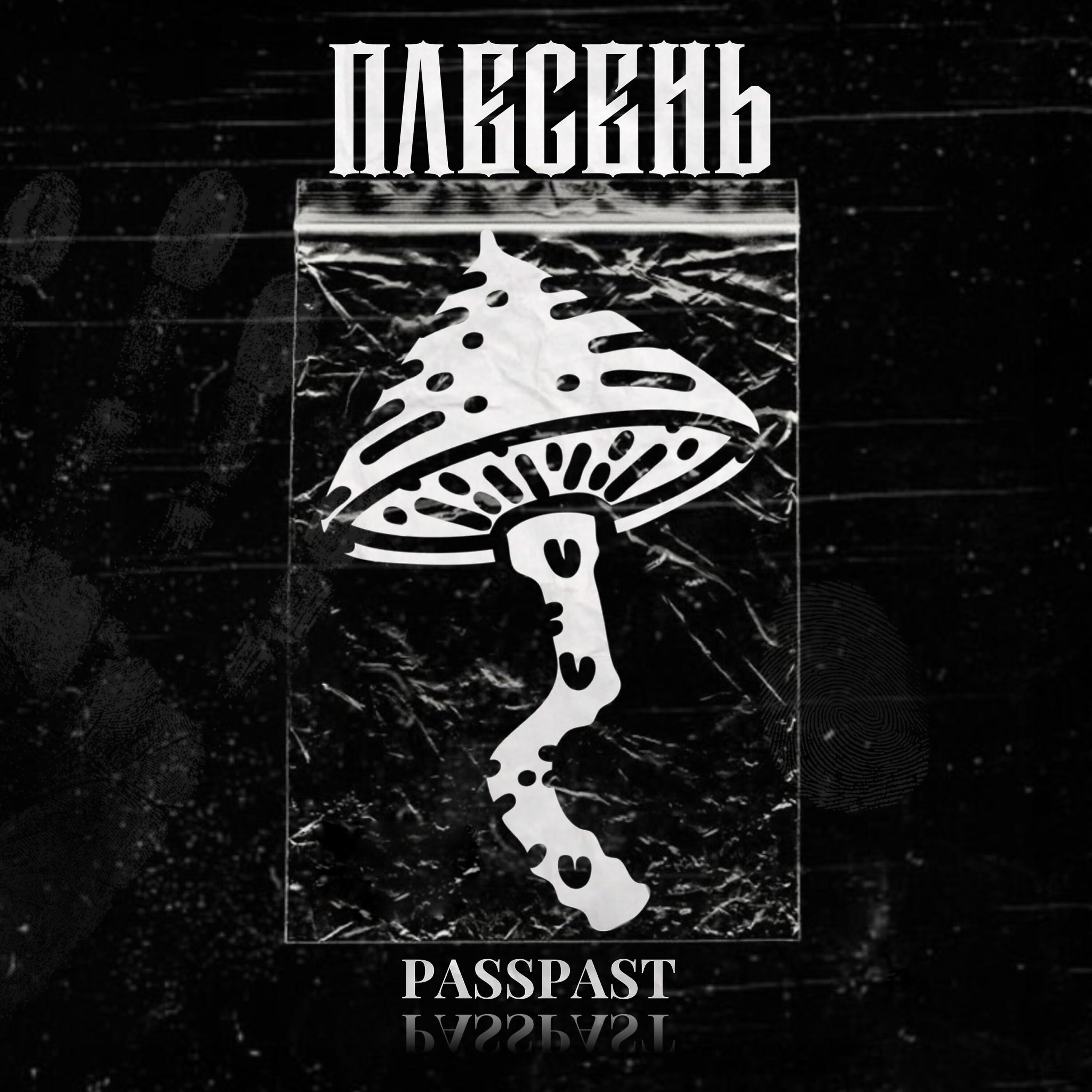 Релиз Плесень