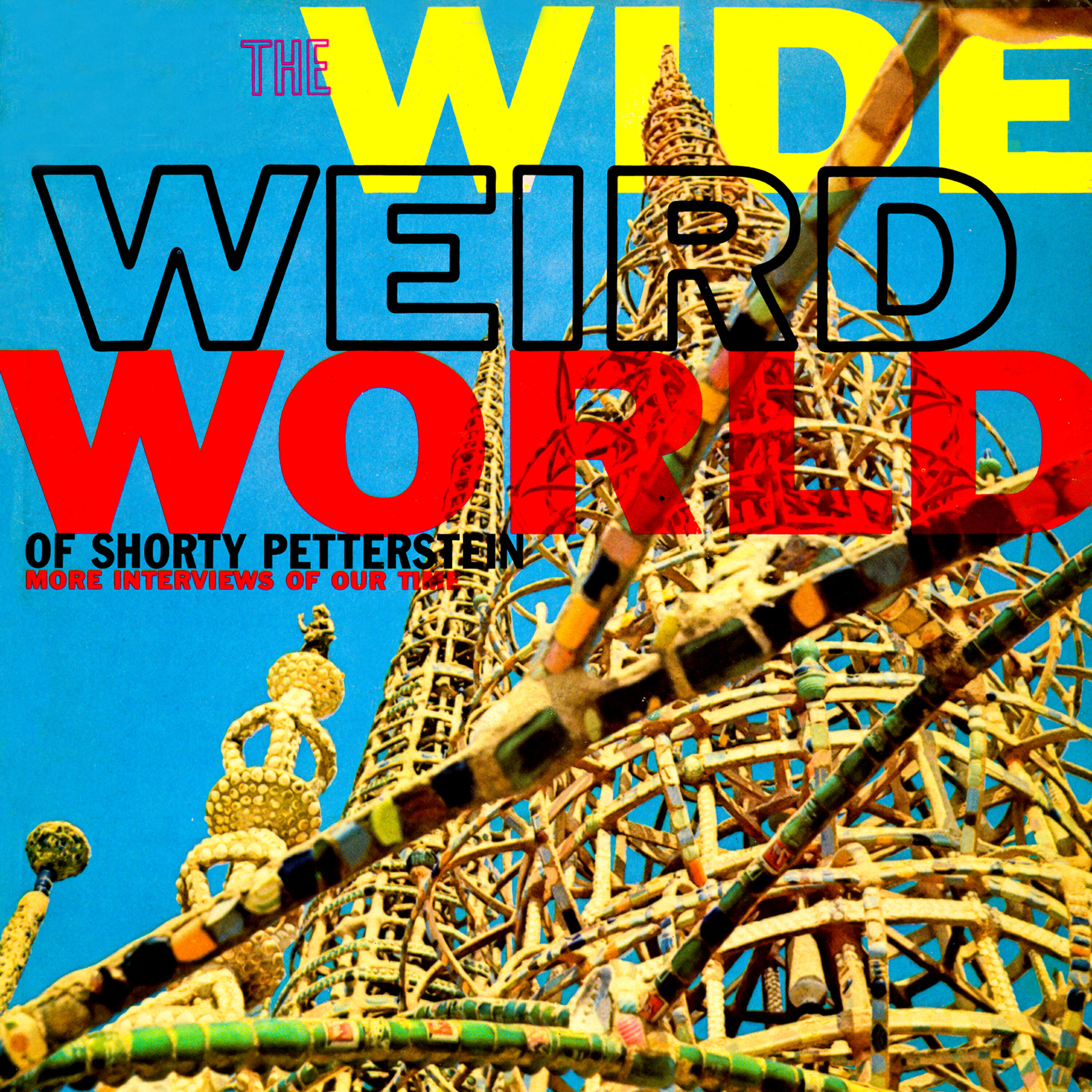 Релиз Wide Weird World - More Interviews of Our Time