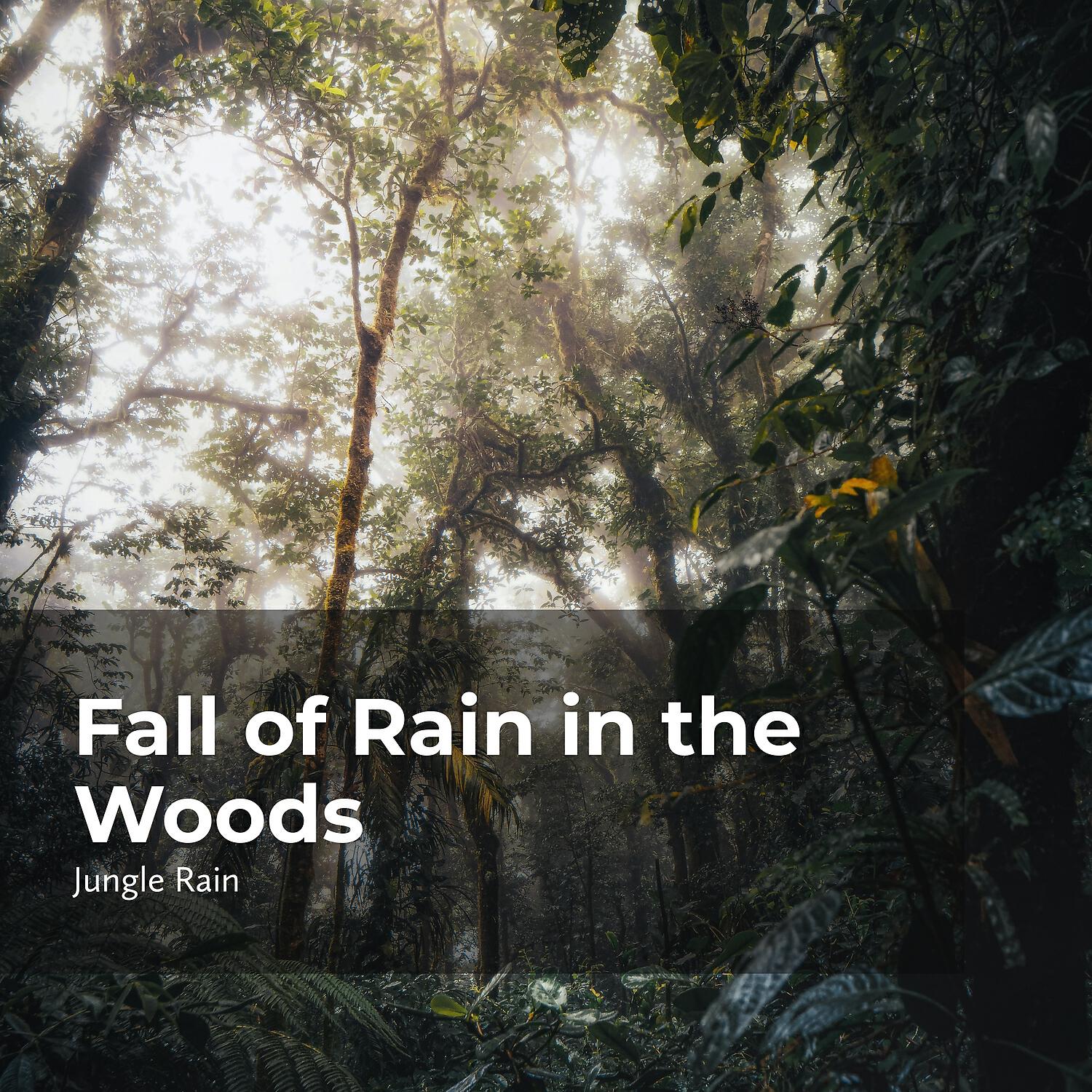 Релиз Fall of Rain in the Woods