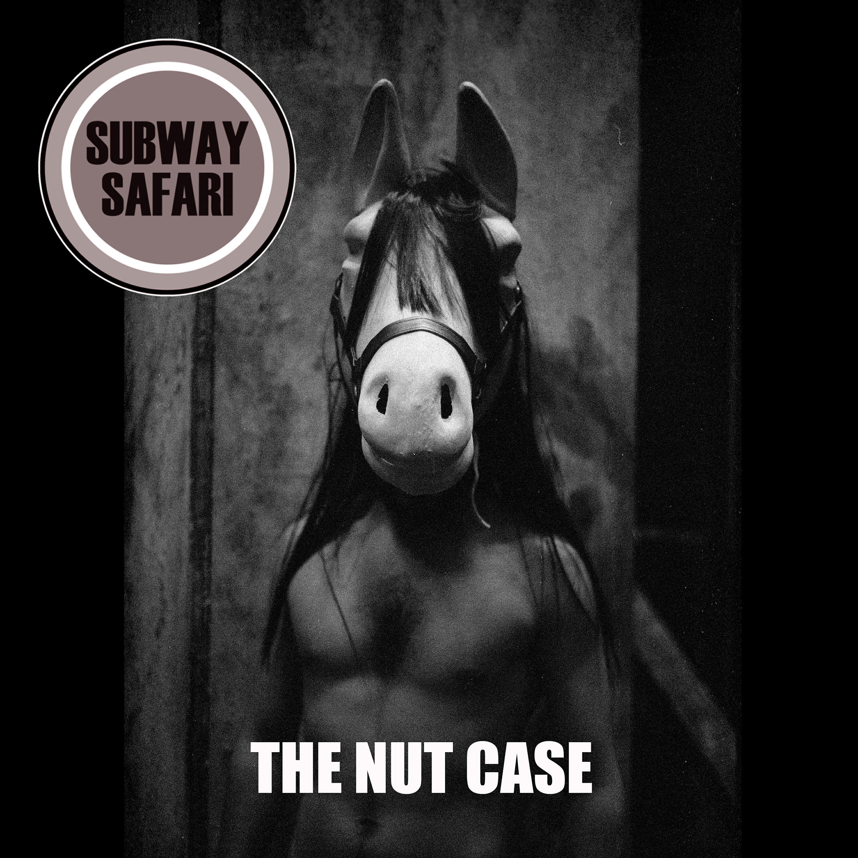 Релиз The Nut Case