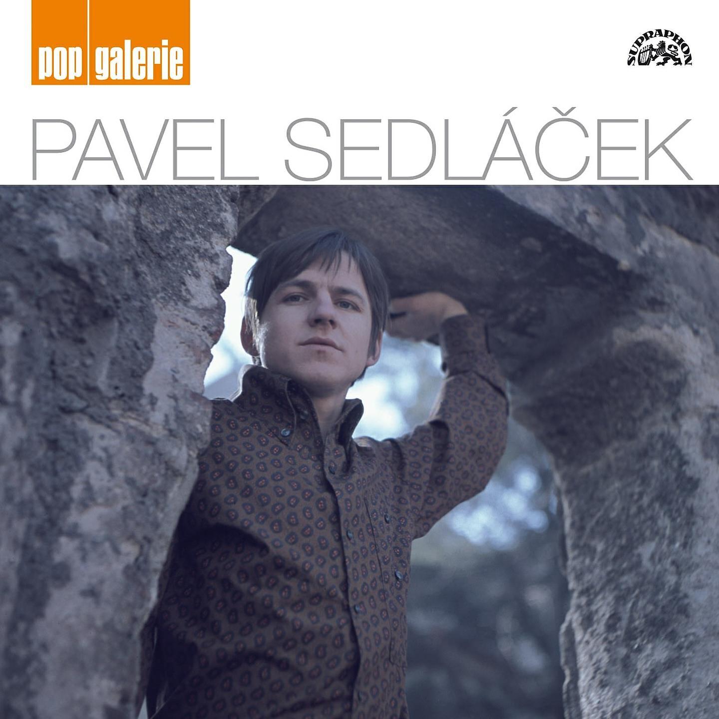 Релиз Pop Galerie