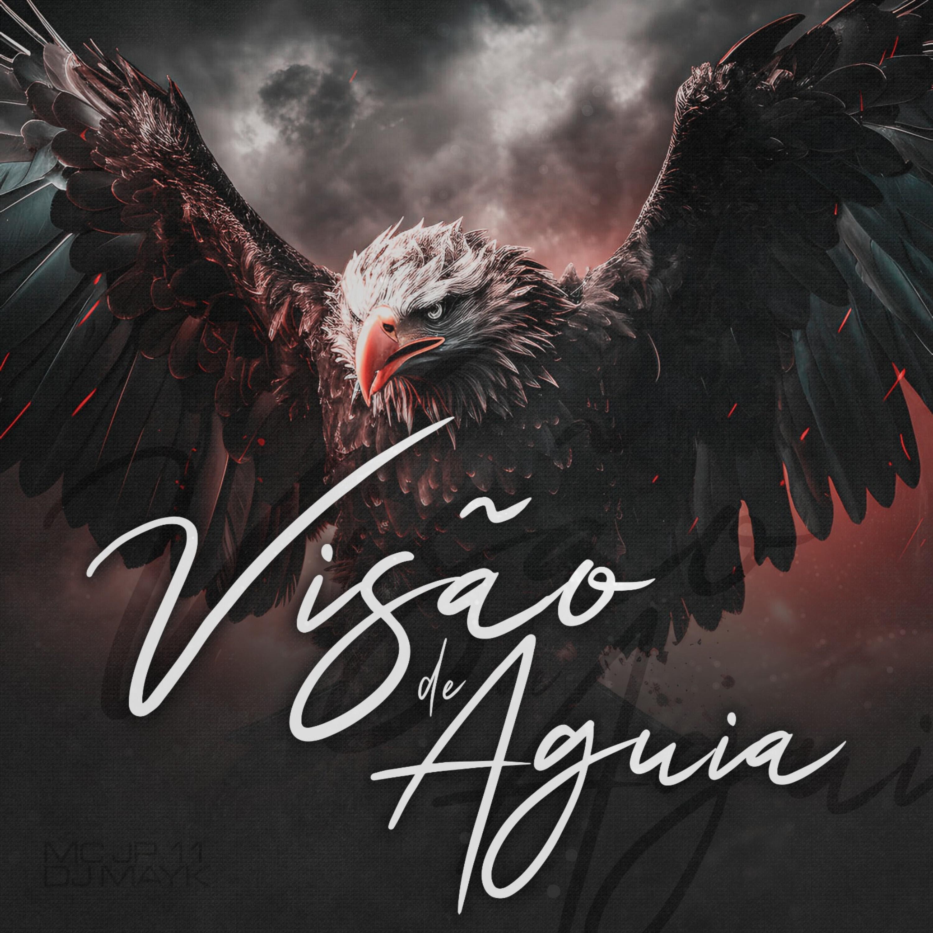 Релиз Visão de Águia
