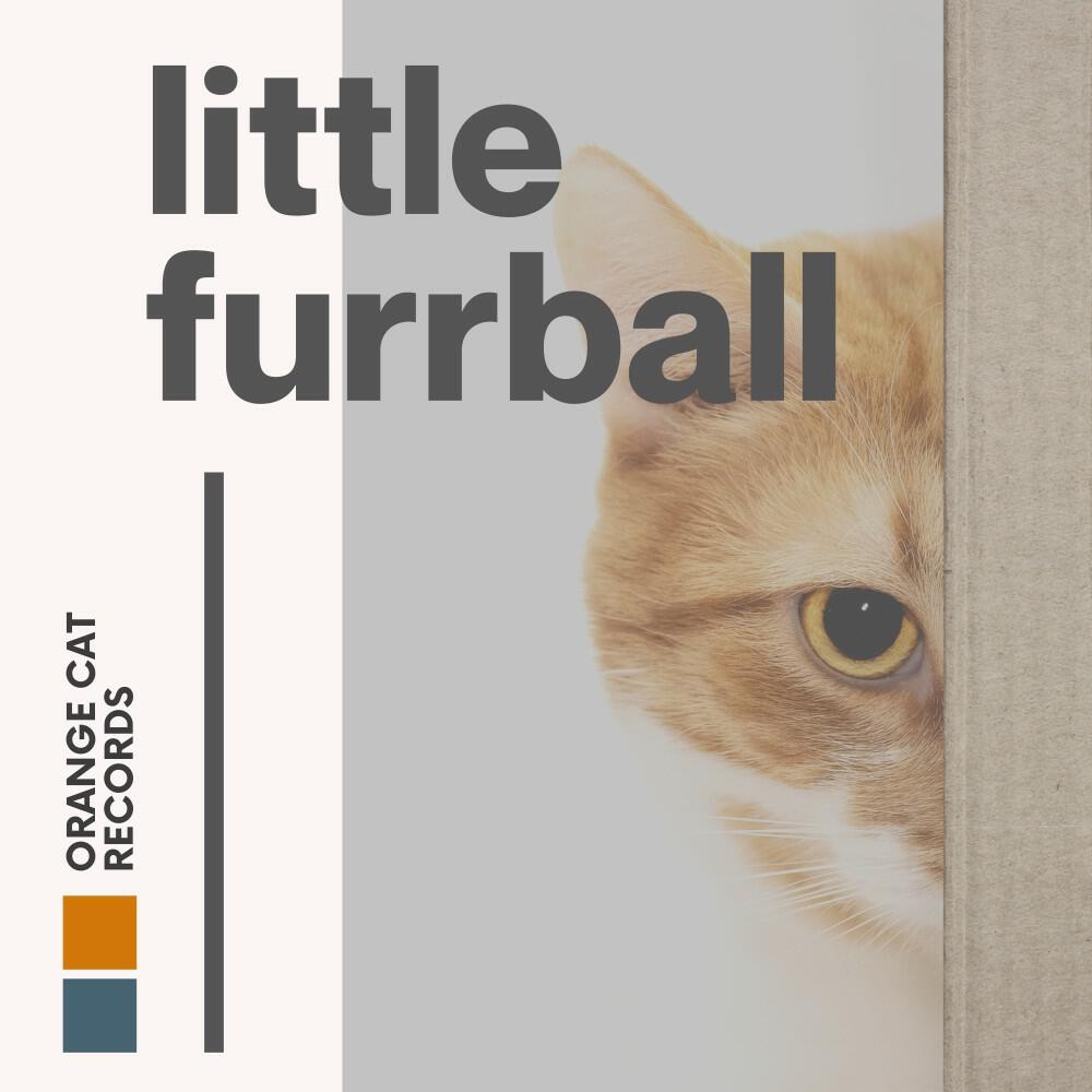 Релиз Little Furball