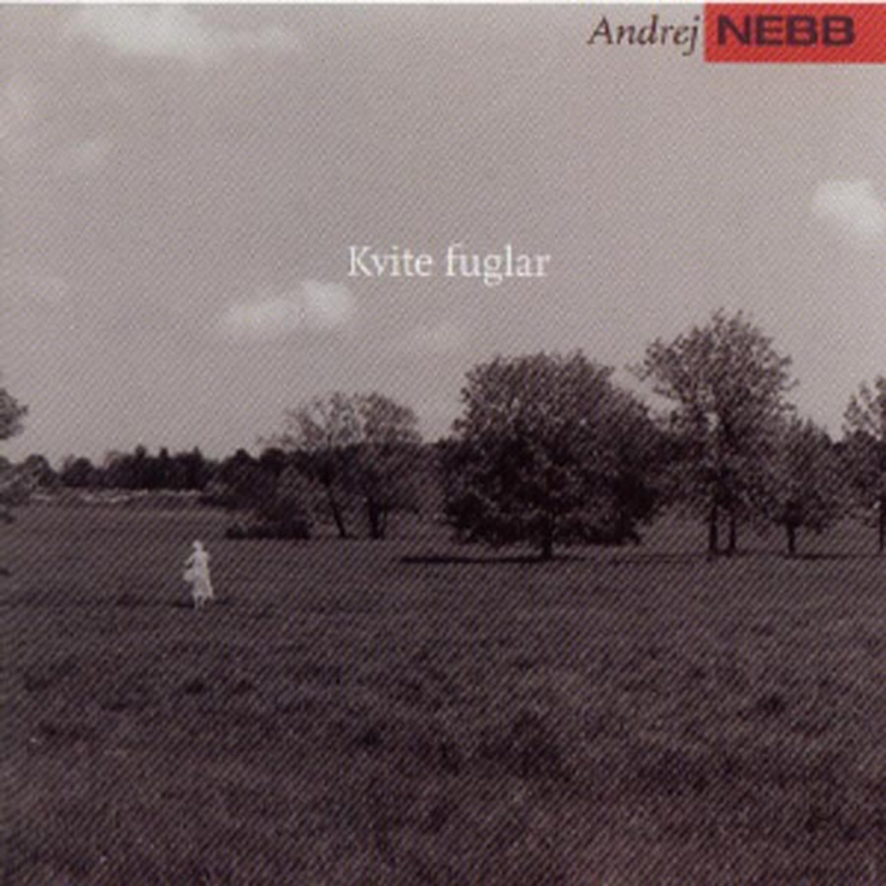 Релиз Kvite Fuglar