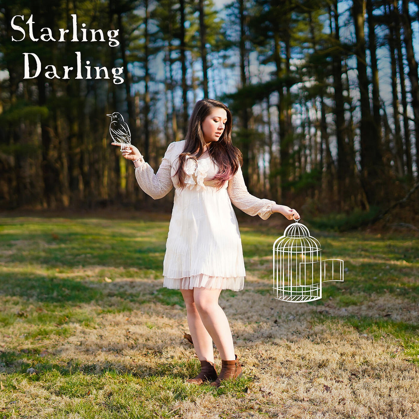 Релиз Starling Darling