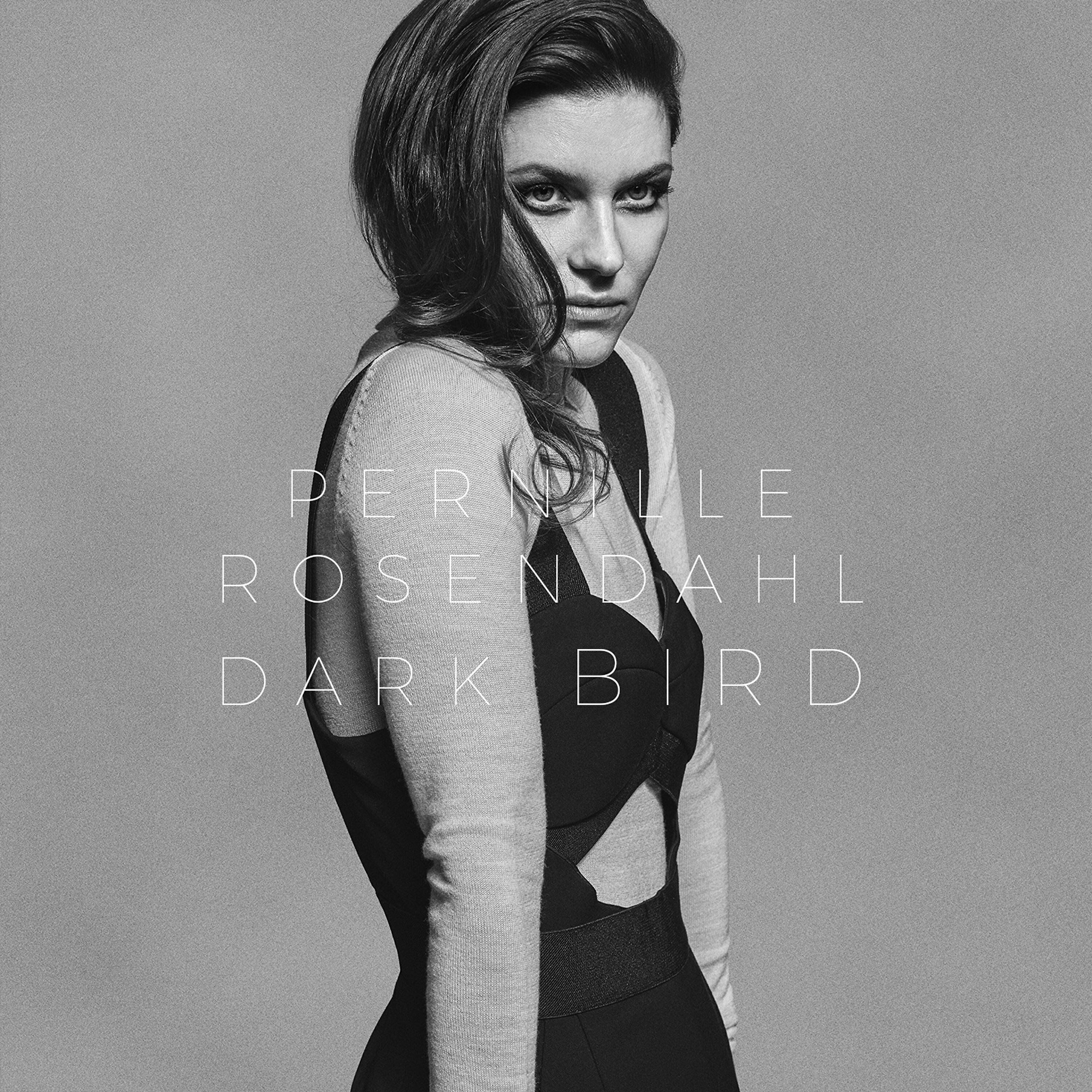 Релиз Dark Bird
