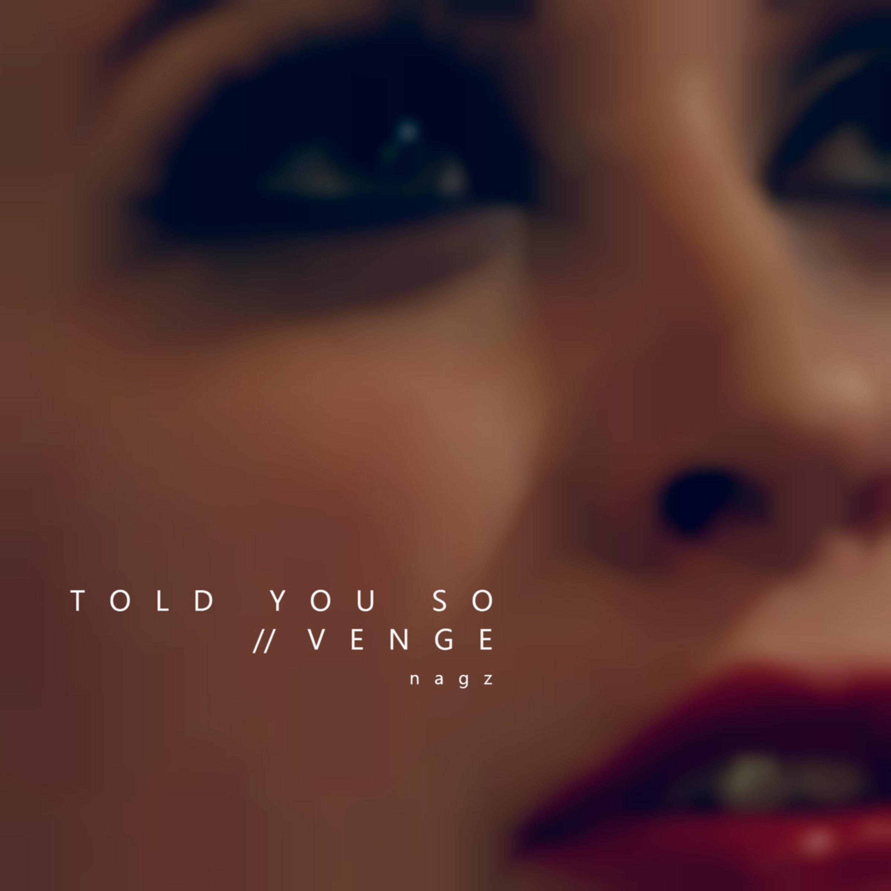 Релиз Told You So / Venge
