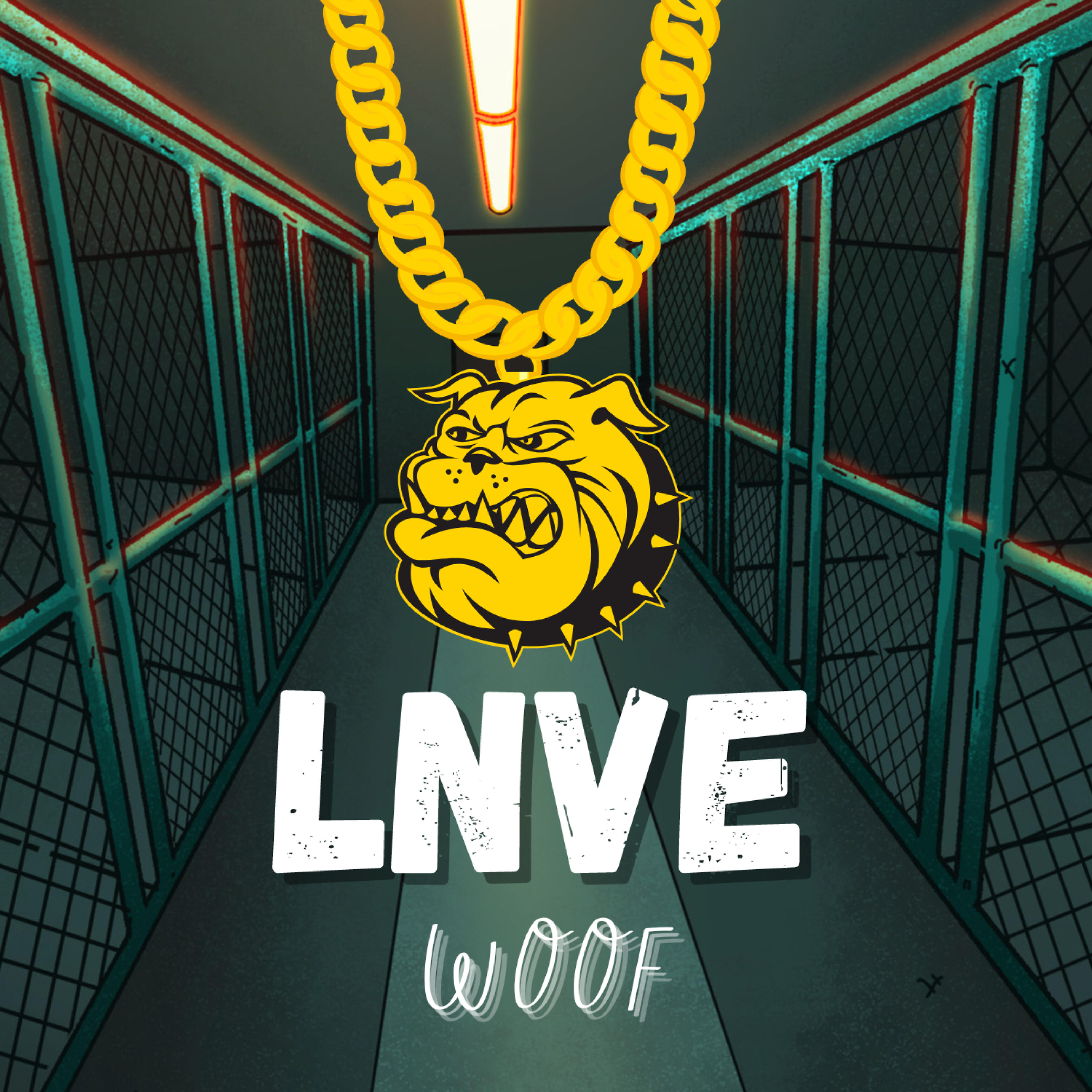 Релиз Woof