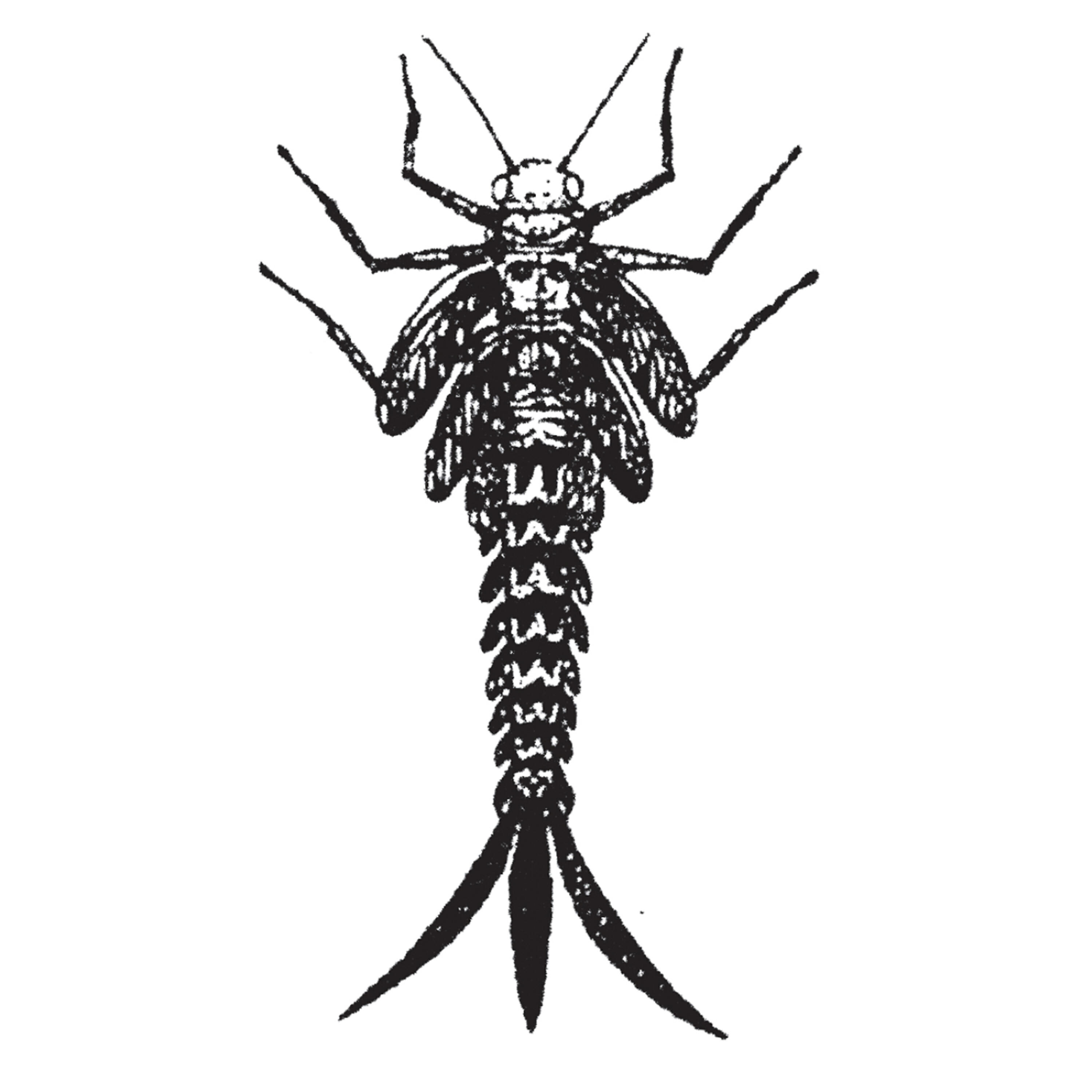 Релиз Papua Land Where Spirits Still Rule