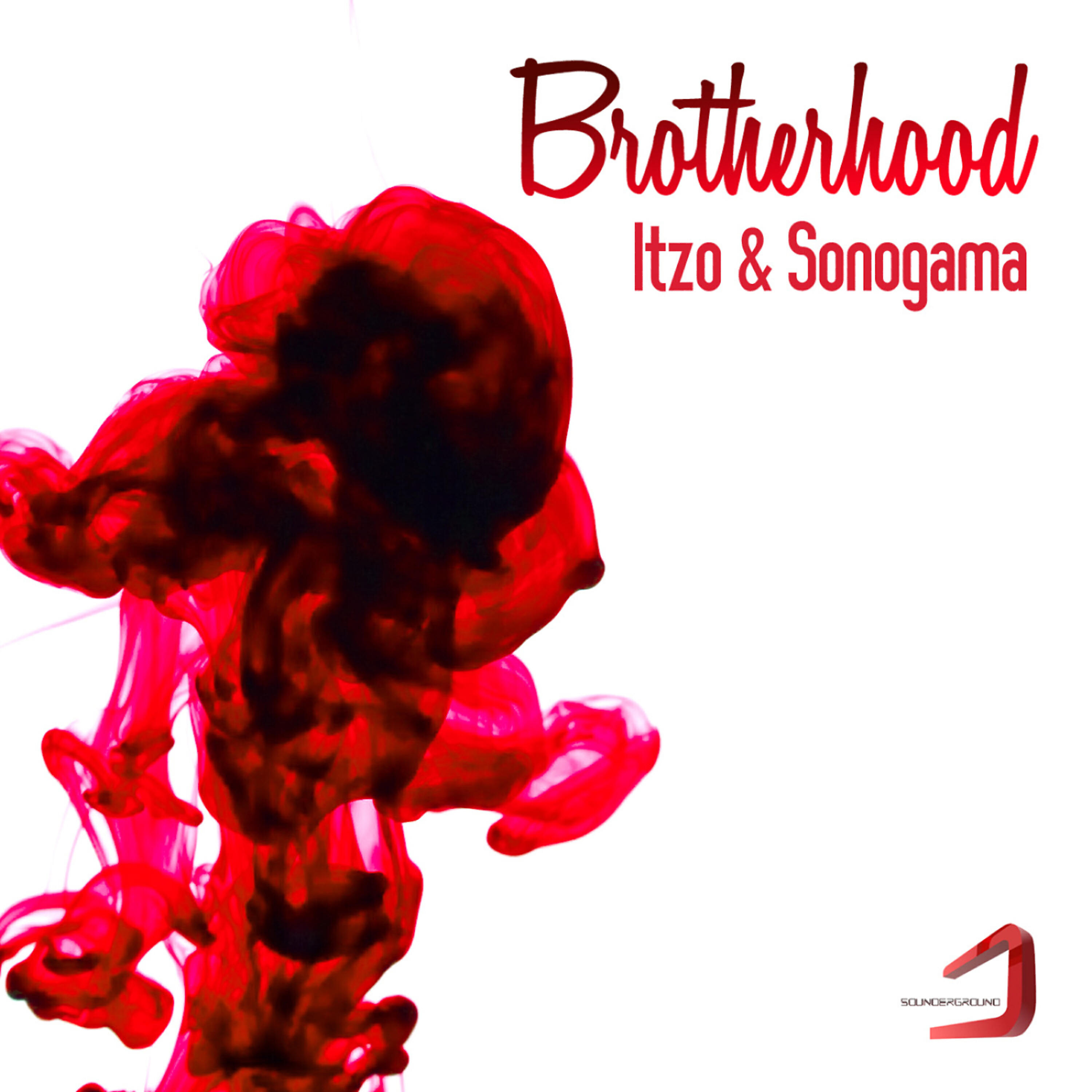 Релиз Brotherhood