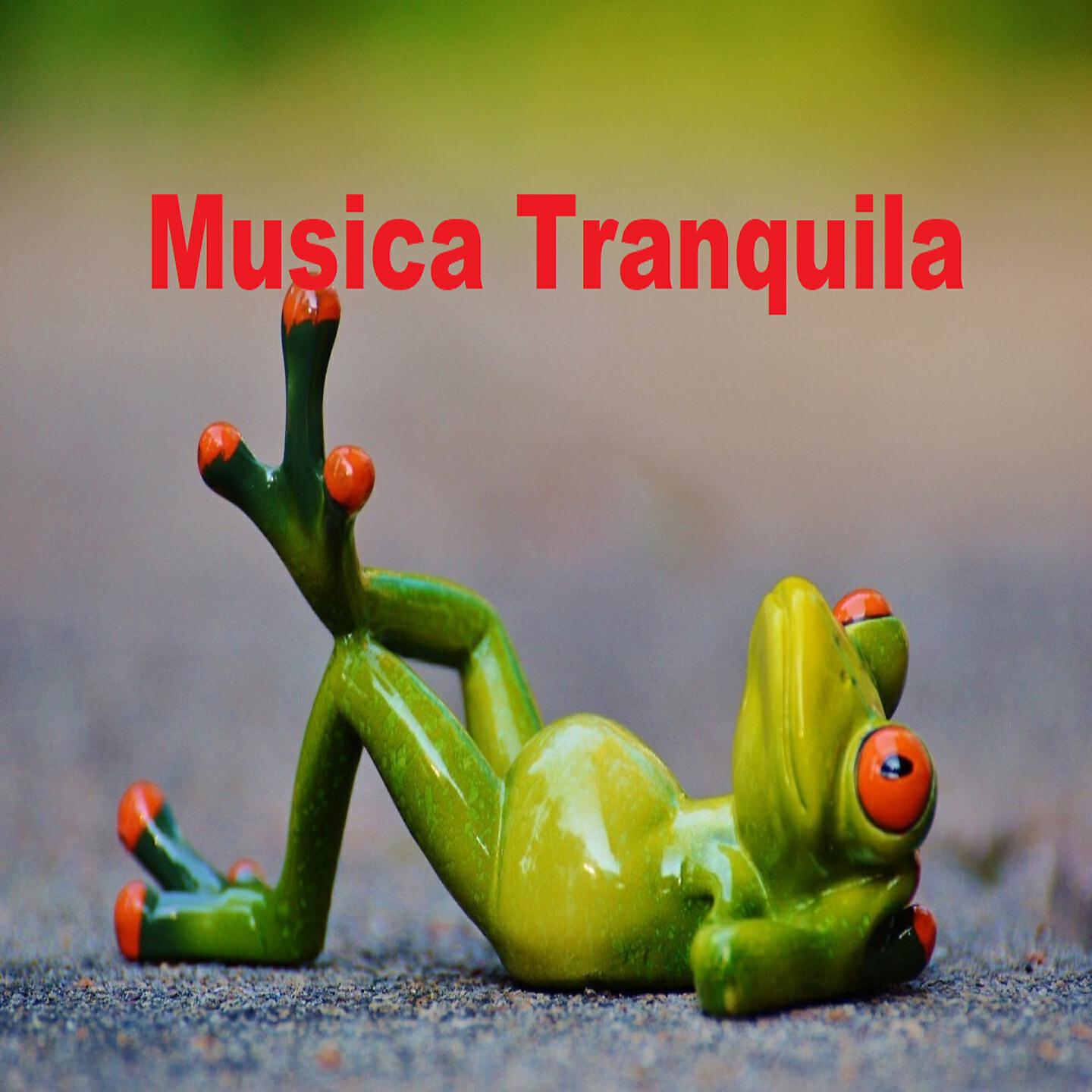 Релиз Música Tranquila