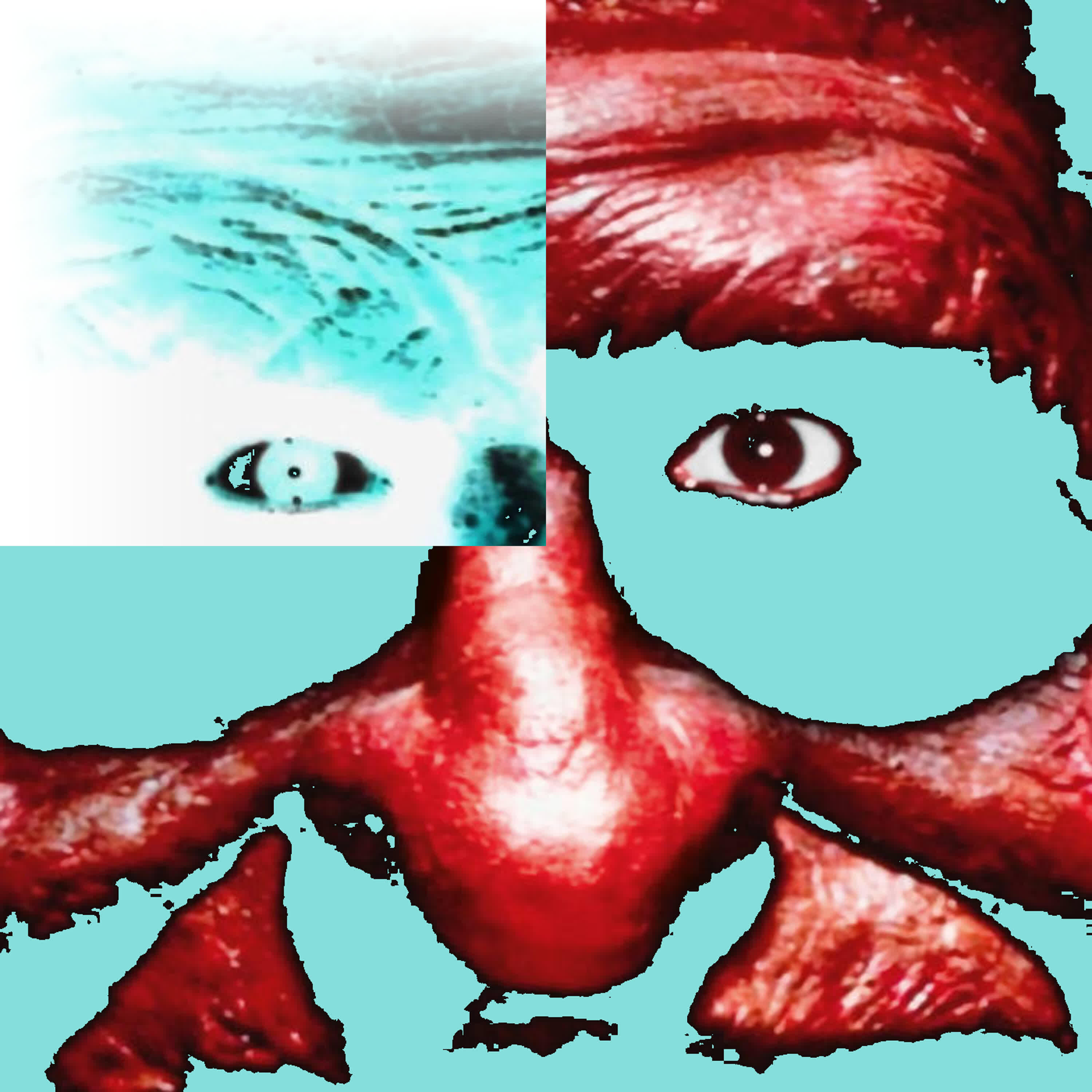 Релиз troll