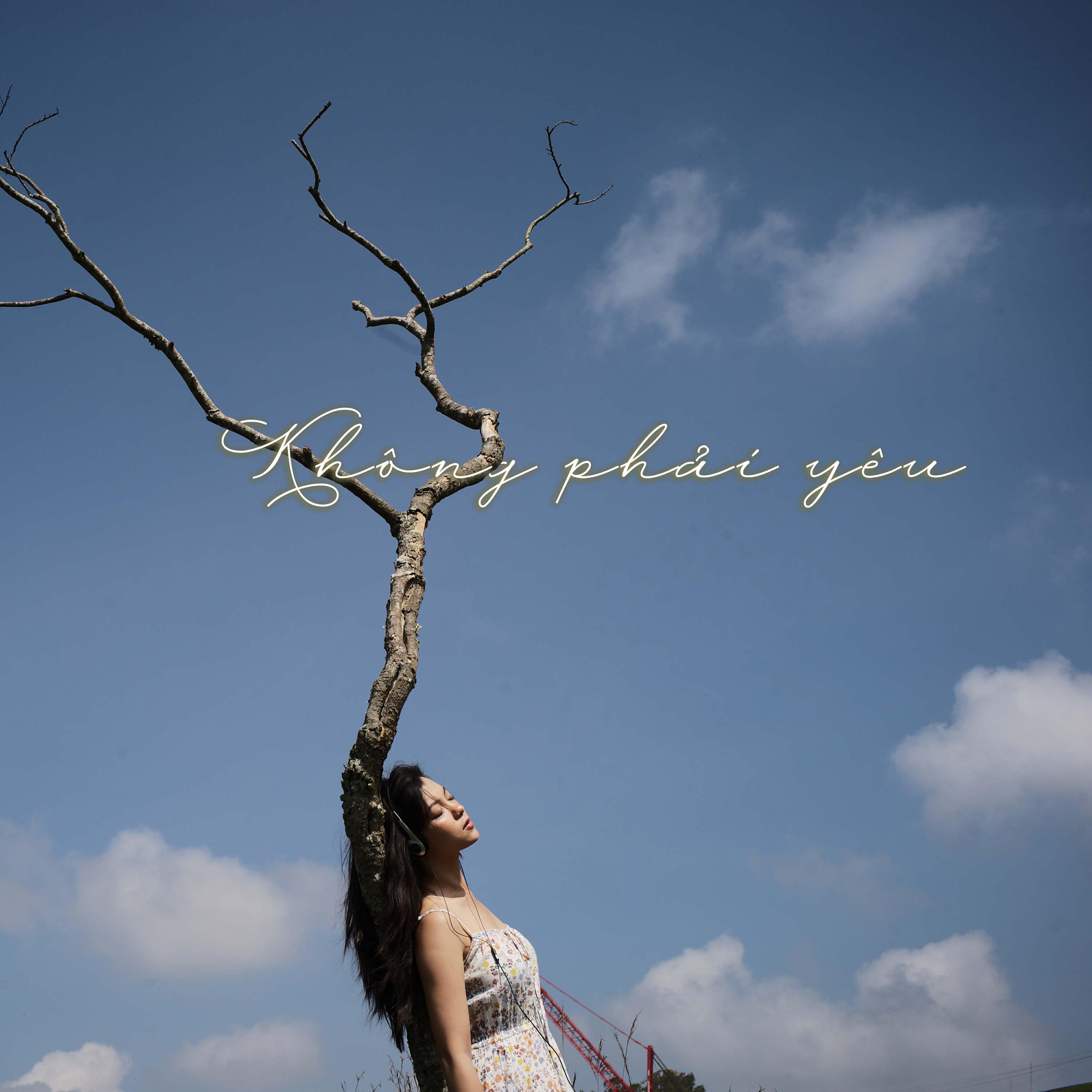 Релиз Không Phải Yêu