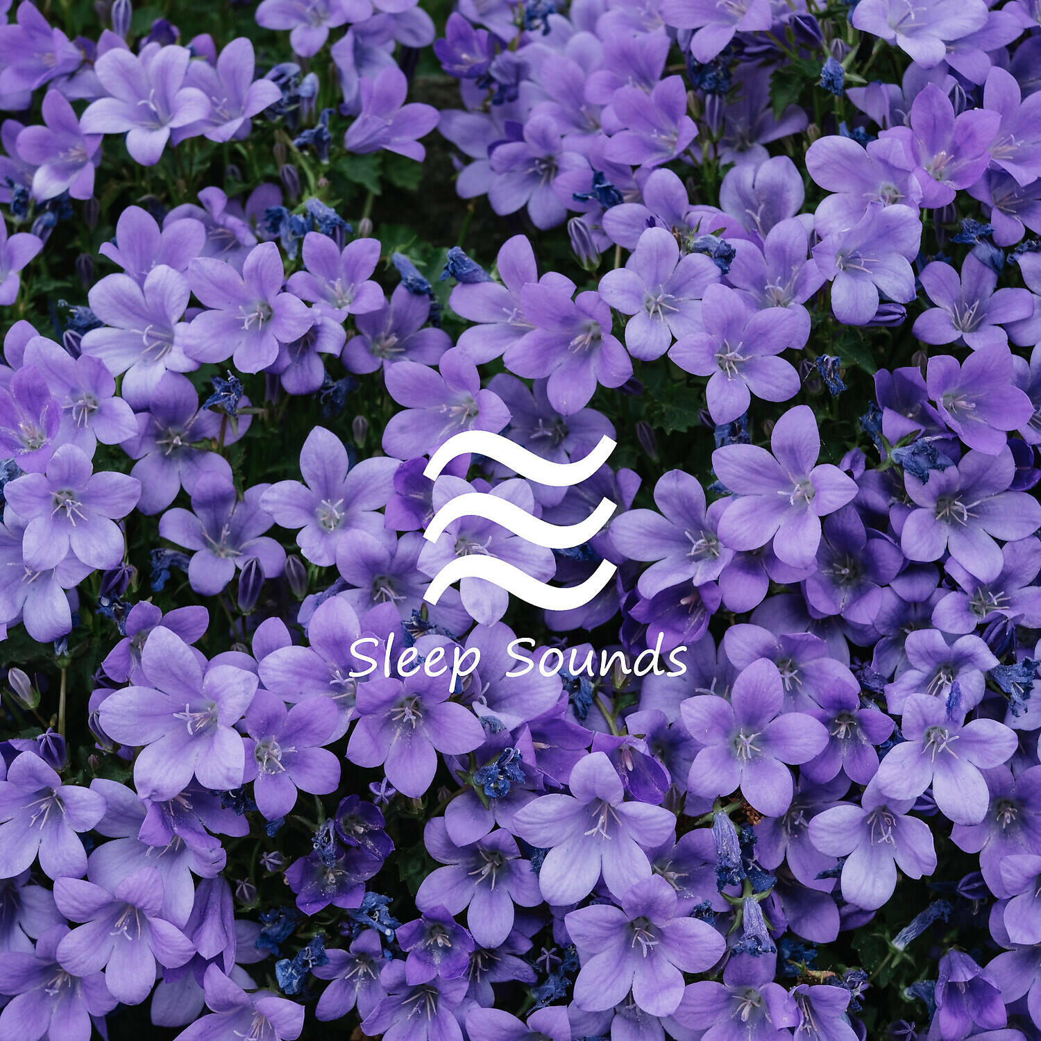 Релиз Sleeping Soft with White Sound