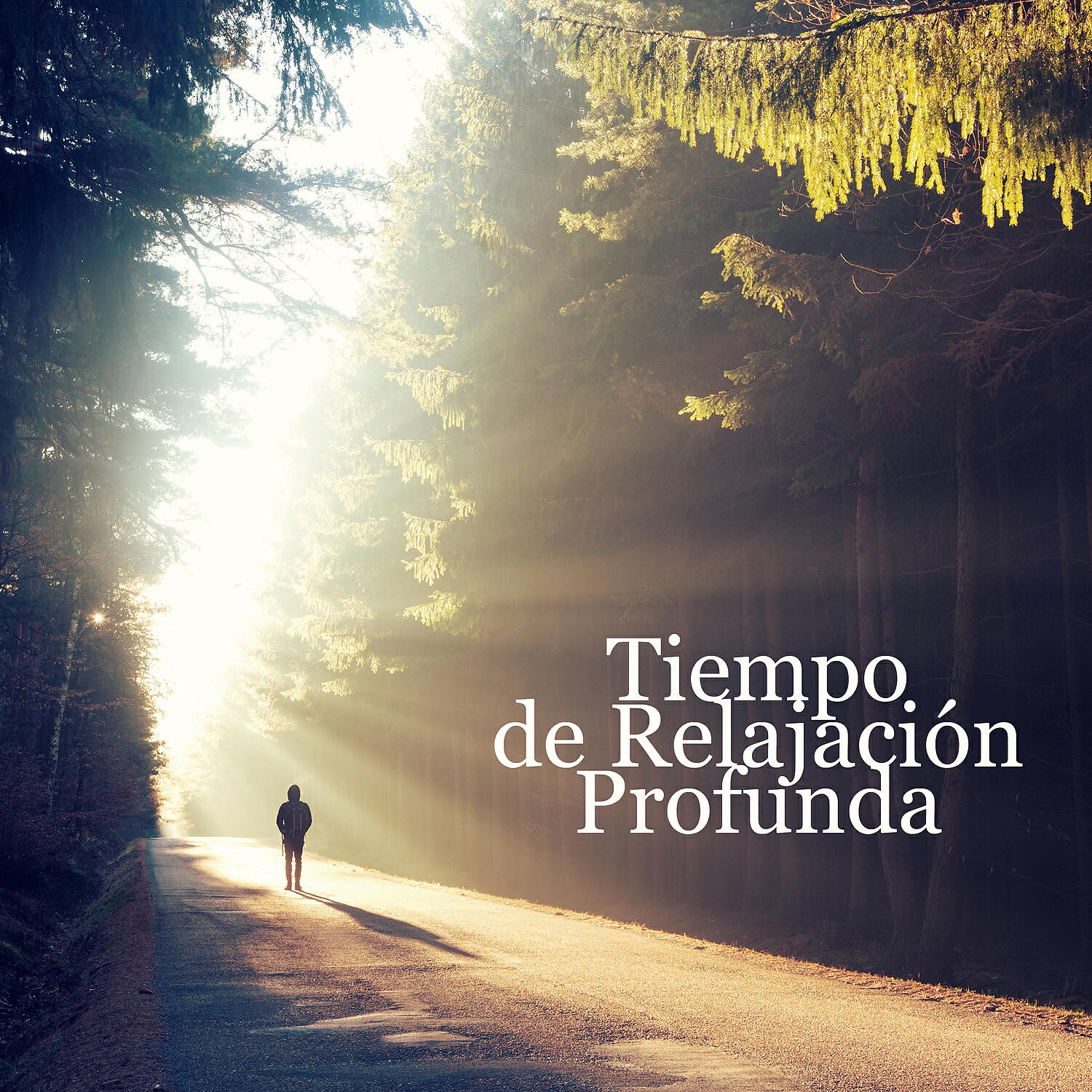 Релиз Tiempo de Relajación Profunda: Sonidos de Naturaleza para Tu Bienestar