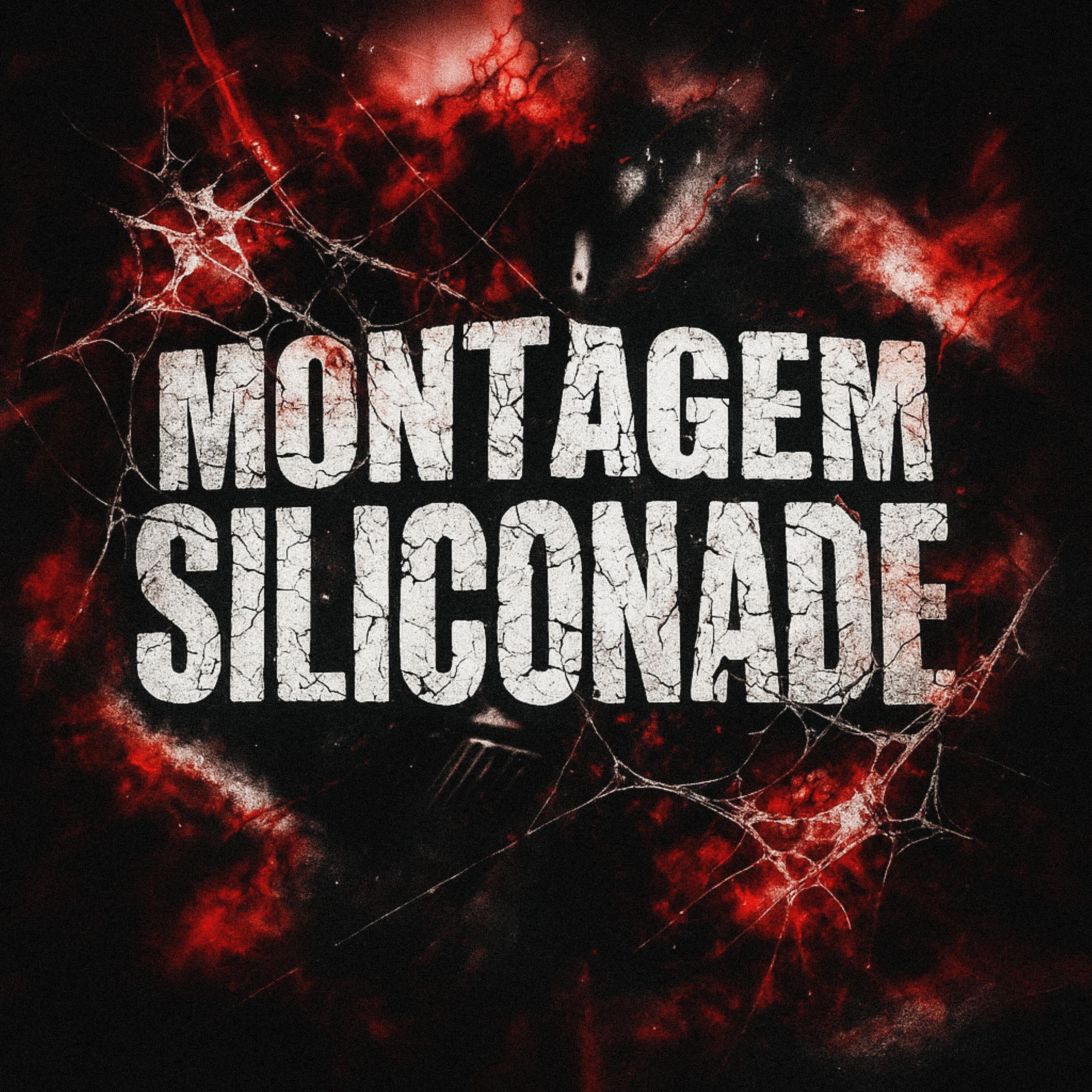Релиз MONTAGEM SILICONADE