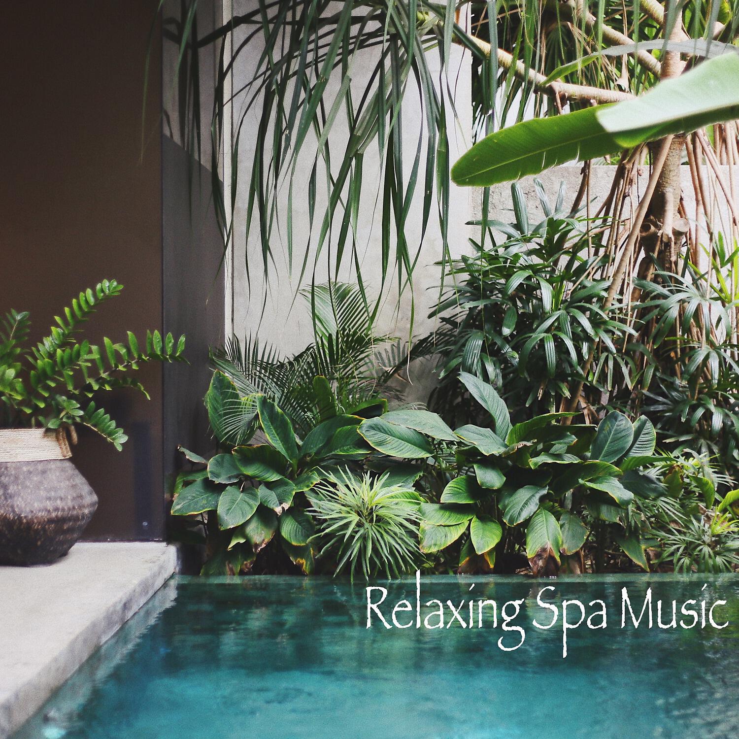 Постер альбома Relaxing Spa Music