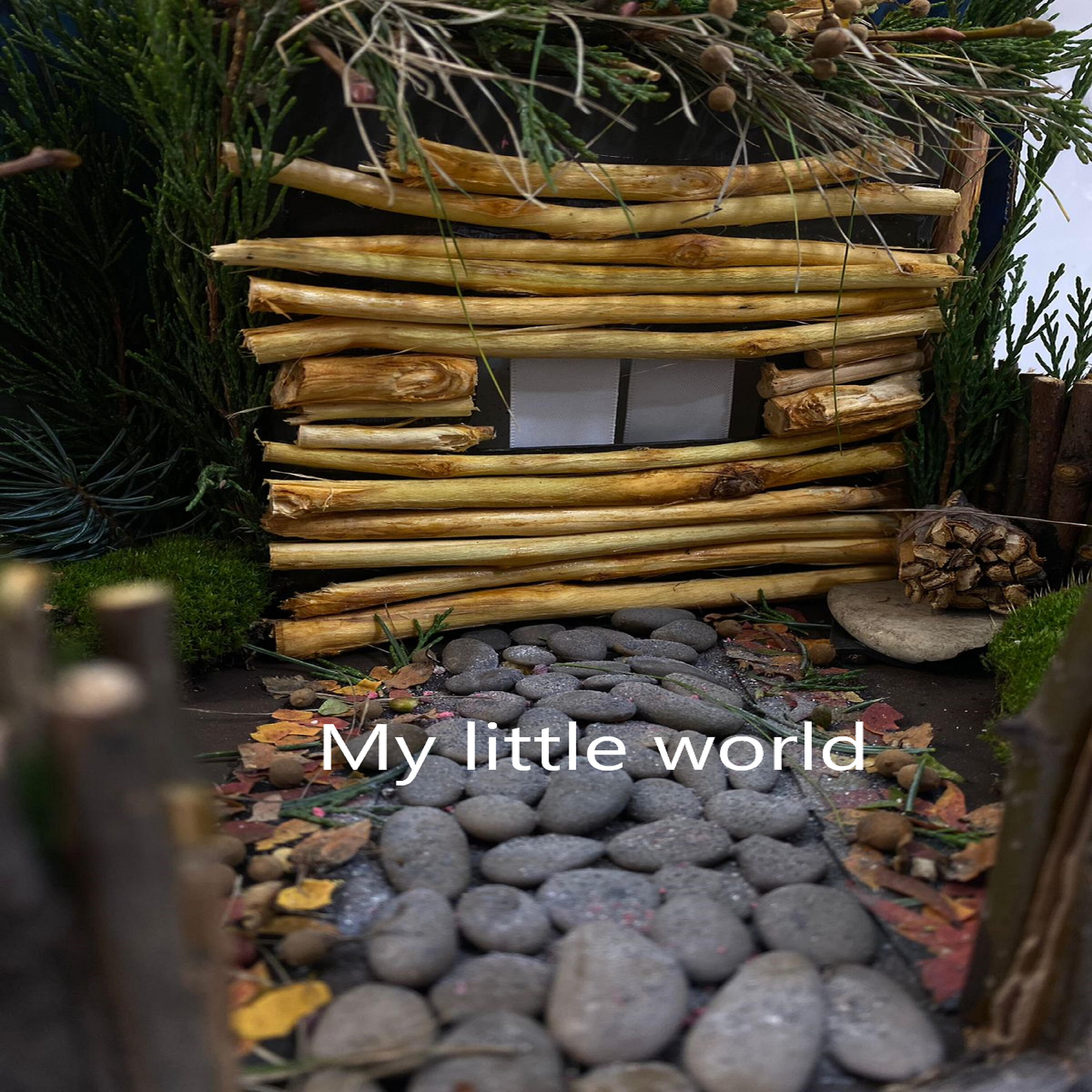 Релиз My Little World