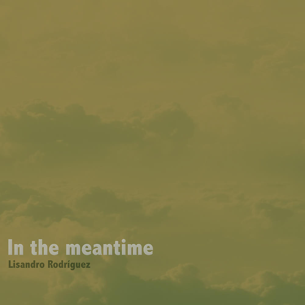 Релиз In The Meantime