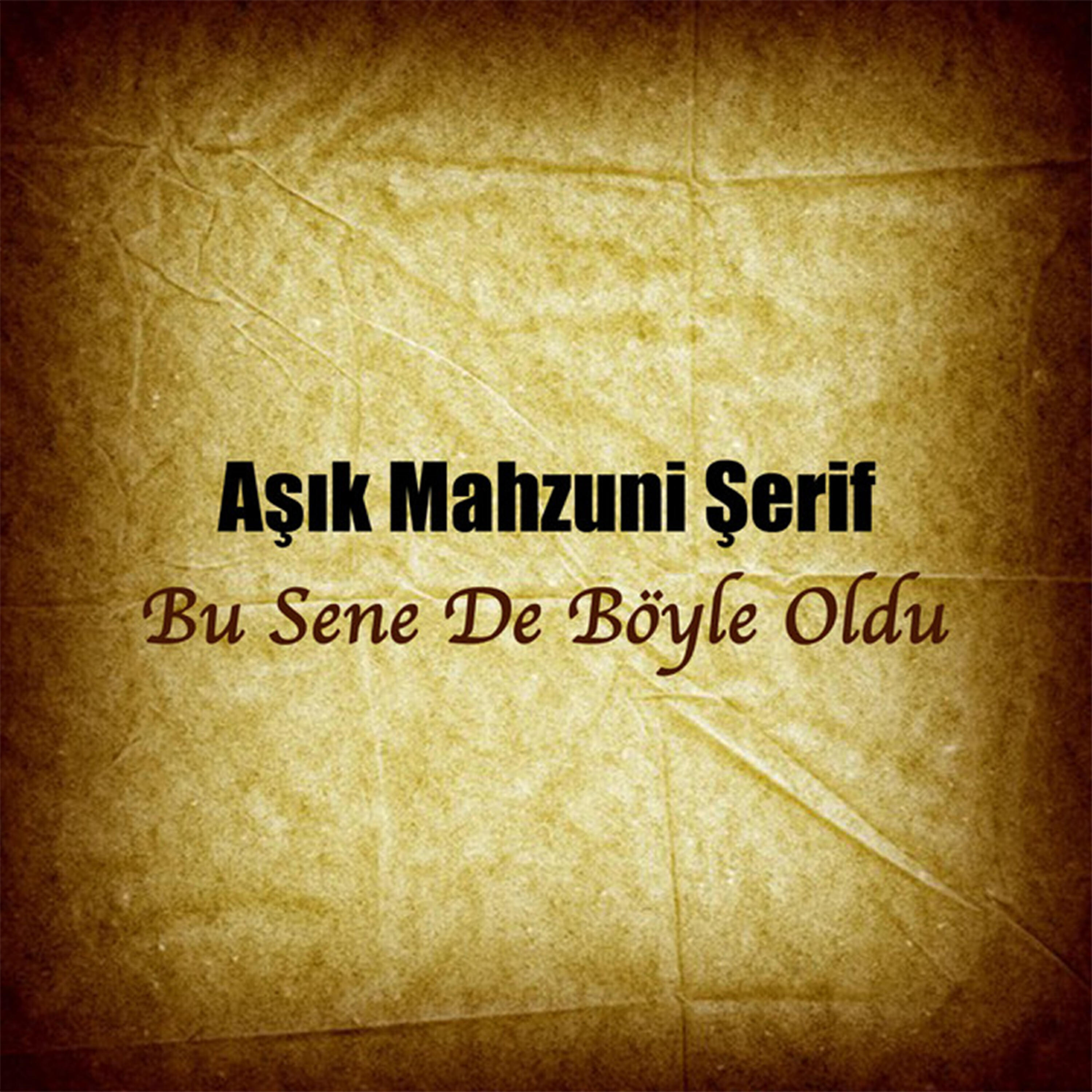 Релиз Bu Sene de Böyle Oldu