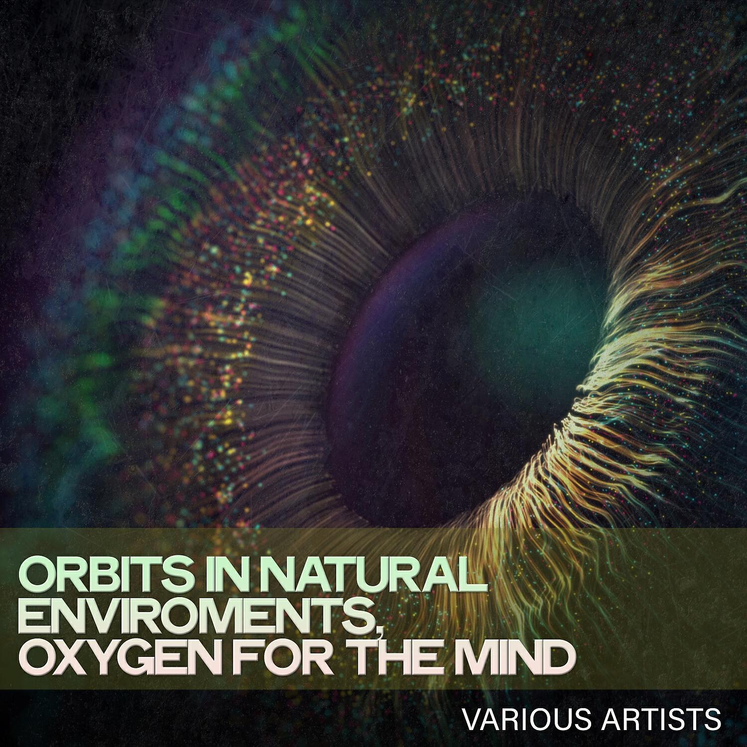 Релиз Orbits in Natural Enviroments, Oxygen for the Mind